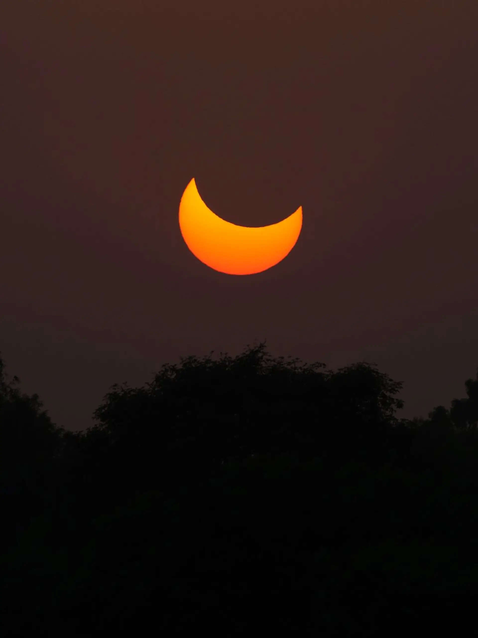 Bild zu: "Vorbereitungen für Sonnenfinsternis"