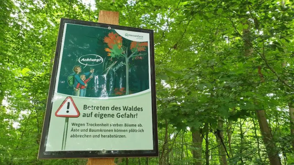 Warnschild im Wald