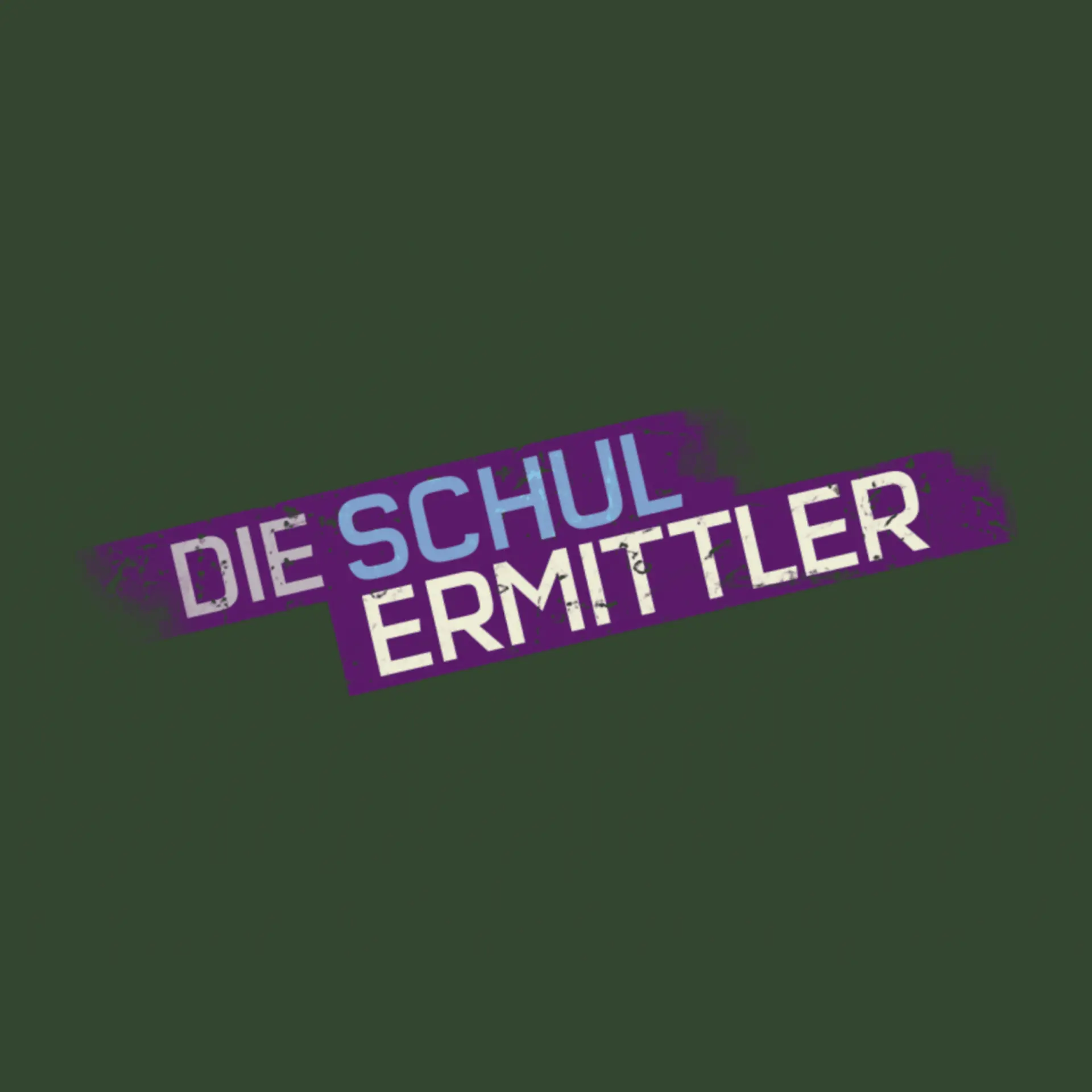 Logo von Die Schulermittler