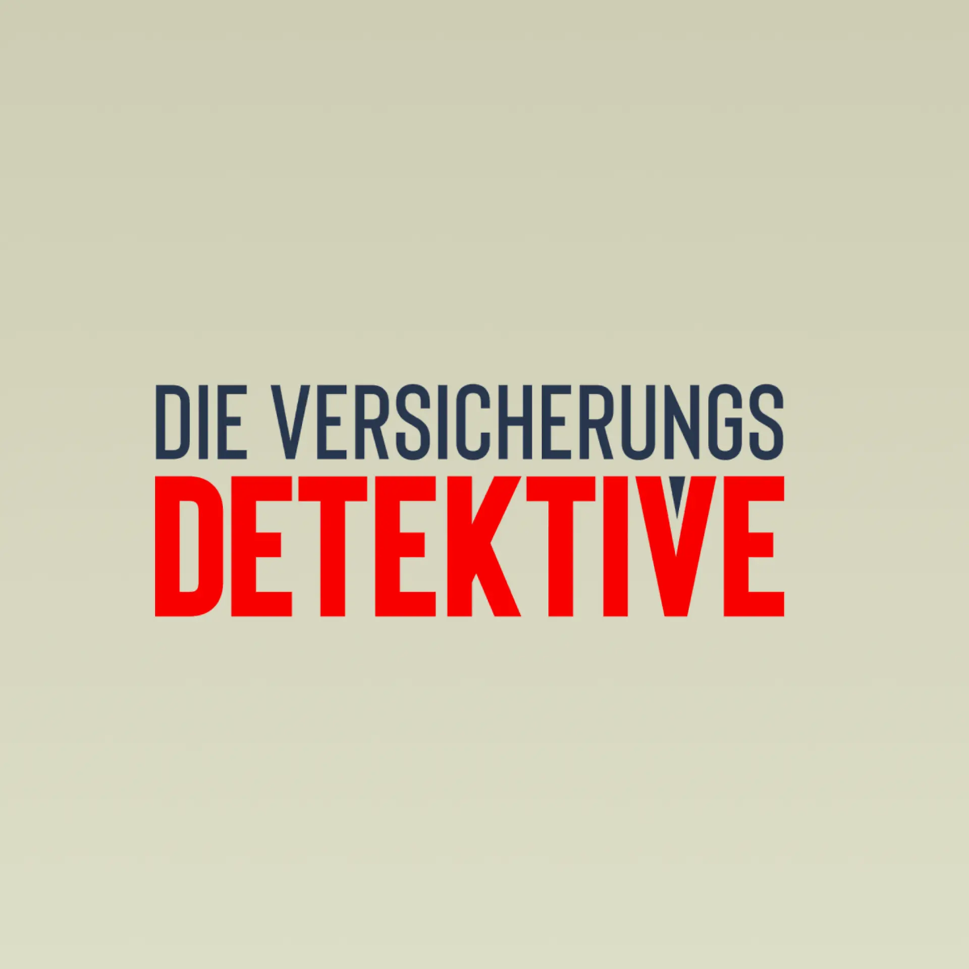Logo von Die Versicherungsdetektive
