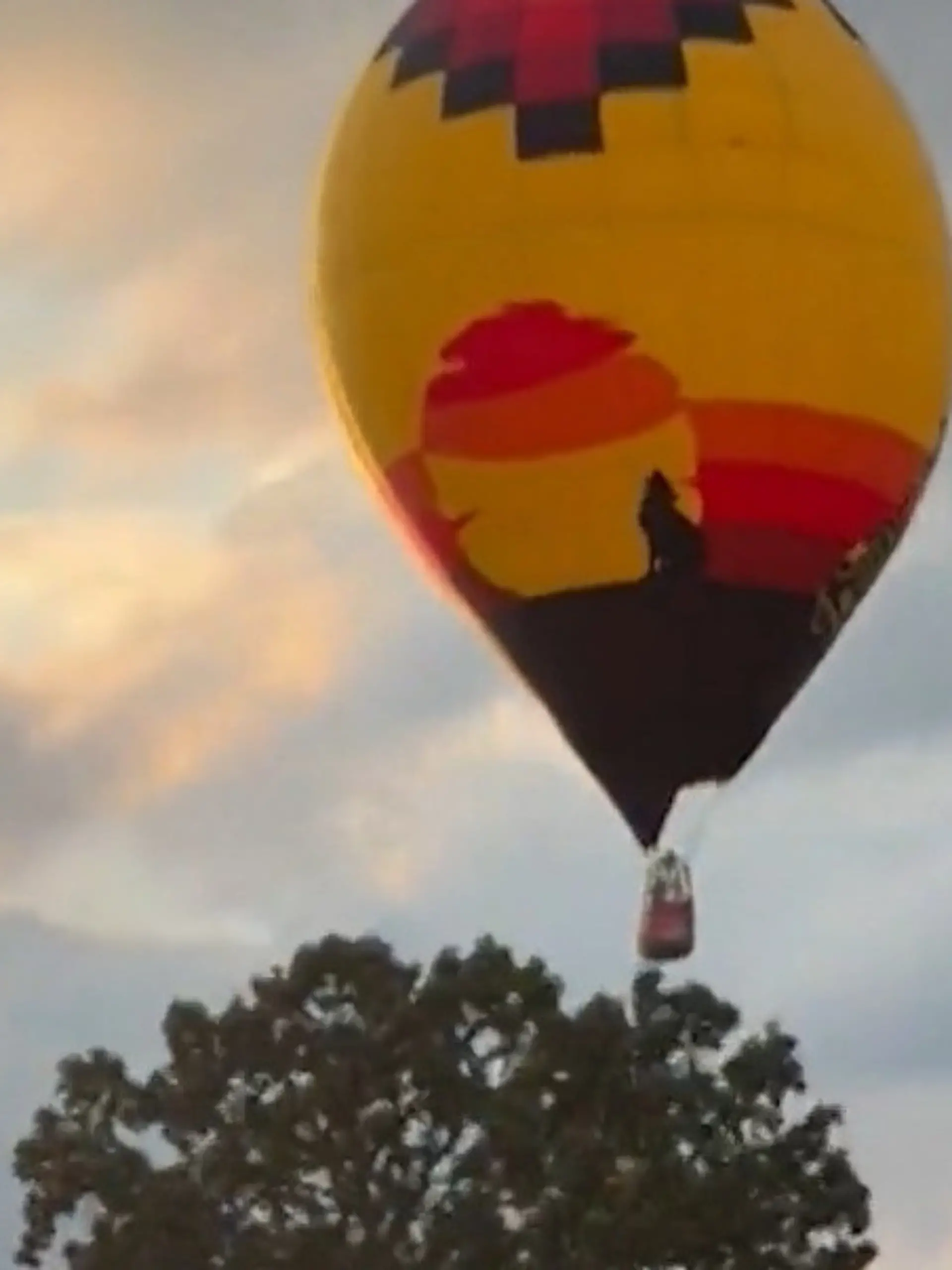 Bild zu: "Heißluftballon stürzt vom Himmel – dann wagt Pilot DIESES riskante Manöver!"