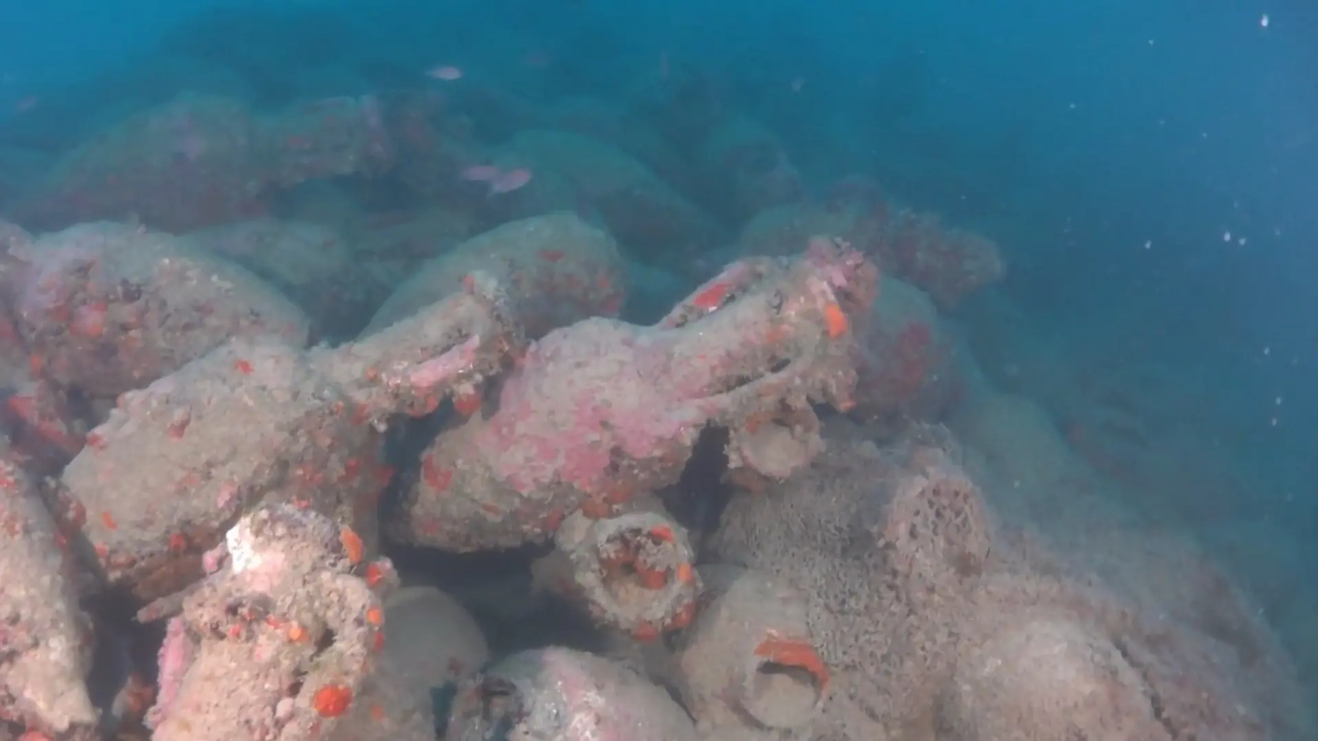 2.000 Jahre alter Sensations-Fund! Taucher entdecken Römer-Schiff vor Sizilien Wertvolle Fracht an Bord