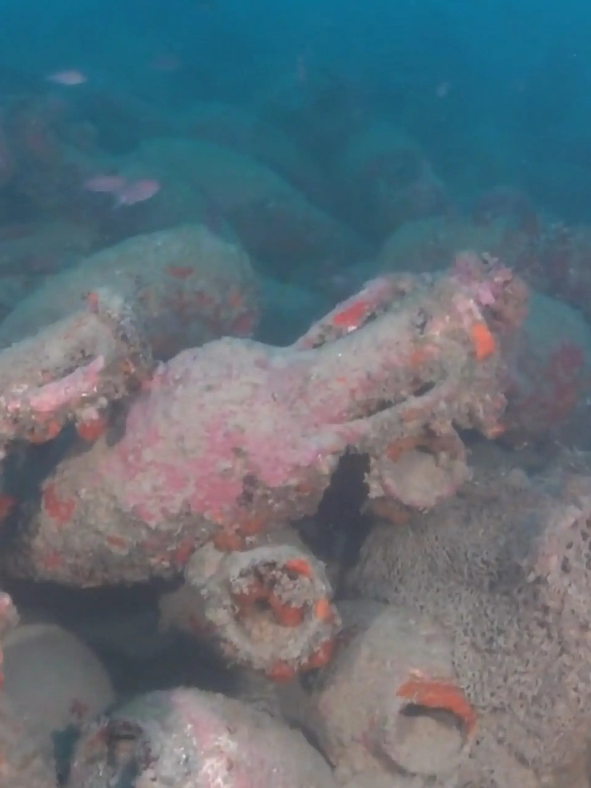 Bild zu: "2.000 Jahre alter Sensations-Fund! Taucher entdecken Römer-Schiff vor Sizilien"