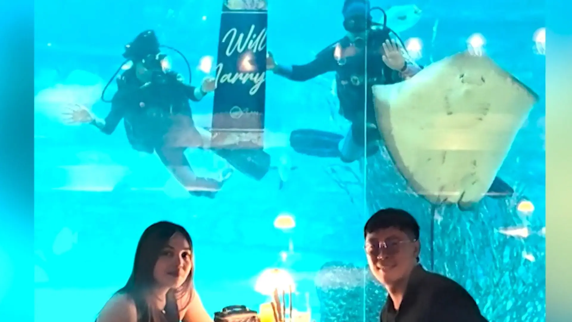 Heiratsantrag unter Wasser – aber DIESER Stachelrochen stiehlt allen die Show! Er will mit aufs Foto!