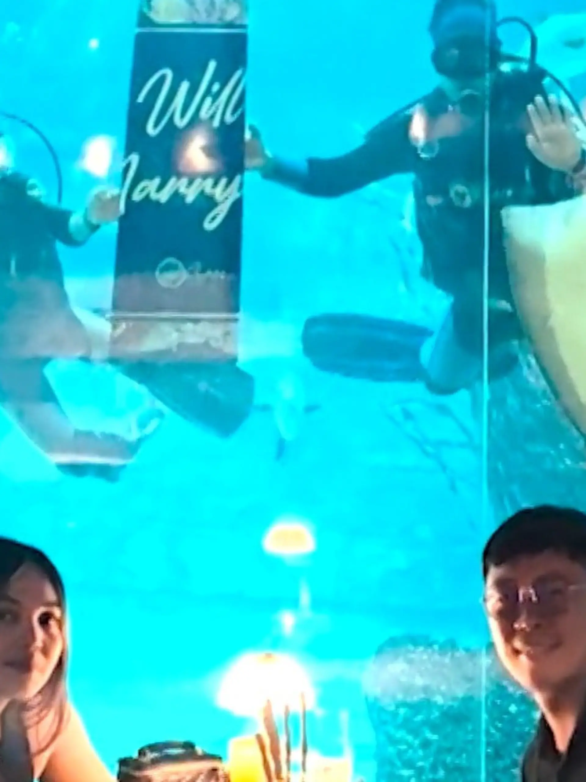 Bild zu: "Heiratsantrag unter Wasser – aber DIESER Stachelrochen stiehlt allen die Show!"