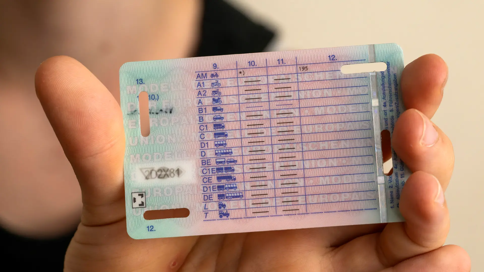 Wisst ihr, was auf eurem Führerschein alles vermerkt ist?