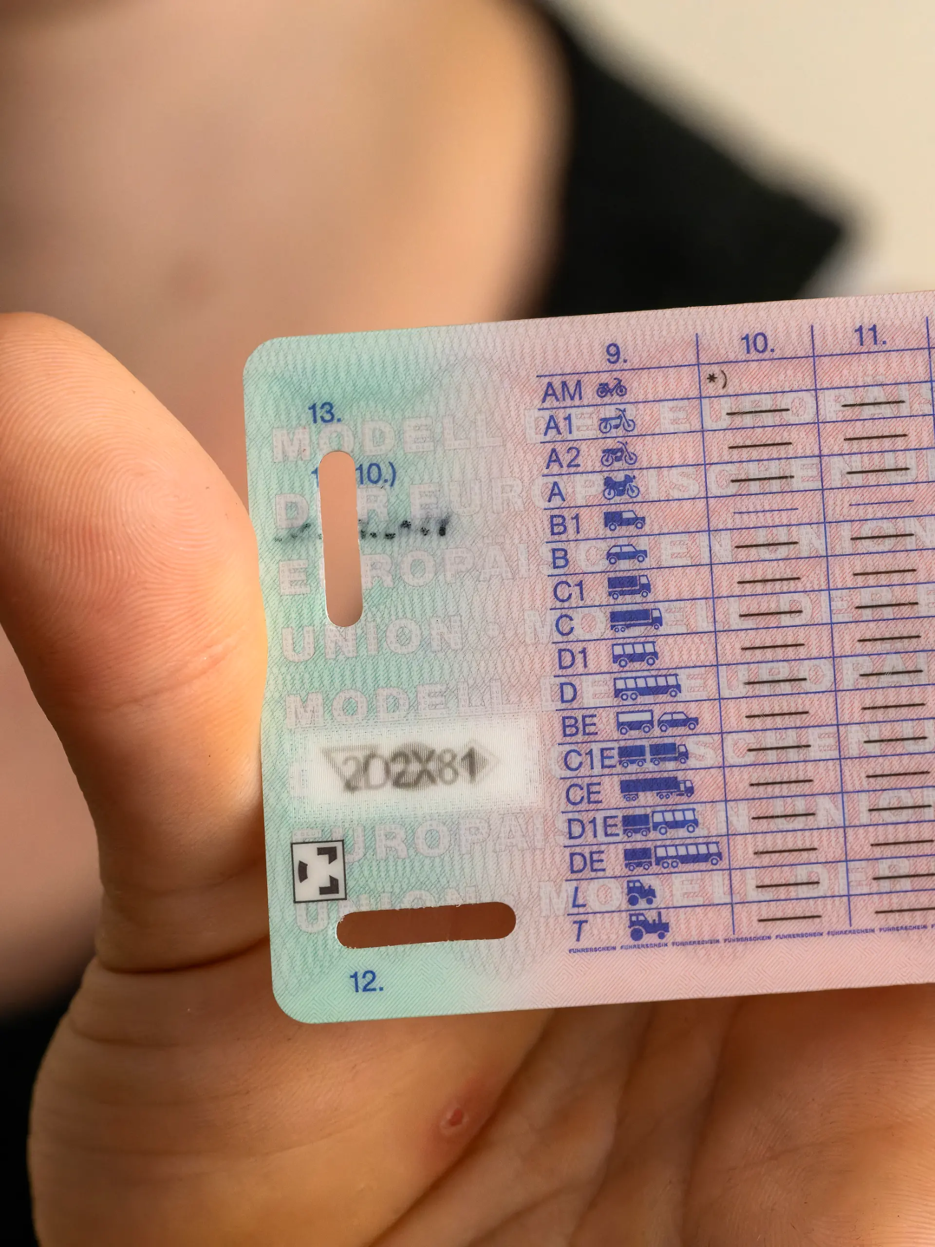 Wisst ihr, was auf eurem Führerschein alles vermerkt ist?
