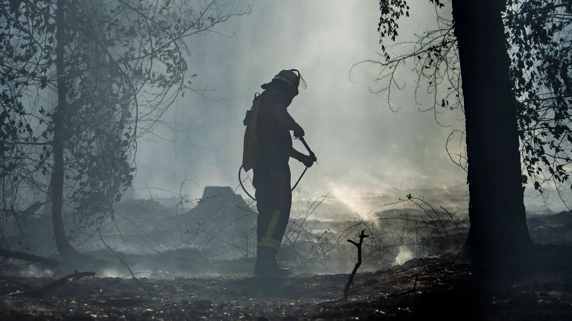 Ein Feuerwehrmann ist mit Löscharbeiten in einem Waldstück beschäftigt. Gleich vor mehreren Bränden in einem Waldstück zwischen Ober- und Niederrodenbach warnte die Integrierte Leitstelle im Main-Kinzig-Kreis über Katwarn. «Nach bisherigem Stand ist eine Waldfläche von mehreren tausend Quadratmetern betroffen», sagte ein Polizeisprecher am frühen Abend. (zu dpa: «Waldbrände in Hessen: Hitze und Wind erschweren Löscheinsatz») +++ dpa-Bildfunk +++