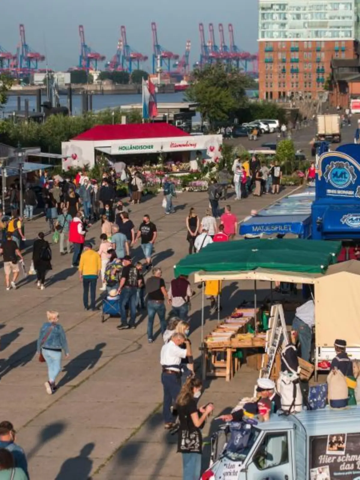 Hamburger Fischmarkt öffnet wieder