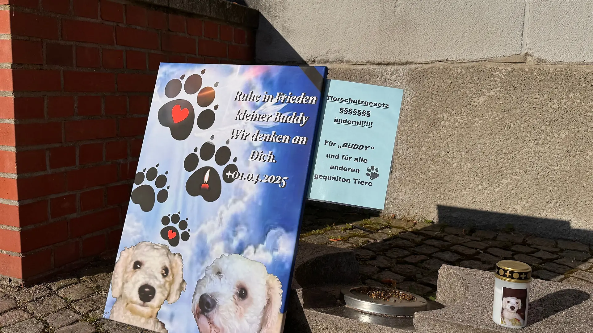 Vor dem Gerichtsgebäude wurden unter anderem ein Erinnerungsplakat und eine Kerze mit dem Bild von Buddy aufgestellt. Weil er den kleinen Rüden getötet hat, ist ein 38 Jahre alter Mann vom Amtsgericht zu einer Bewährungsstrafe verurteilt worden.