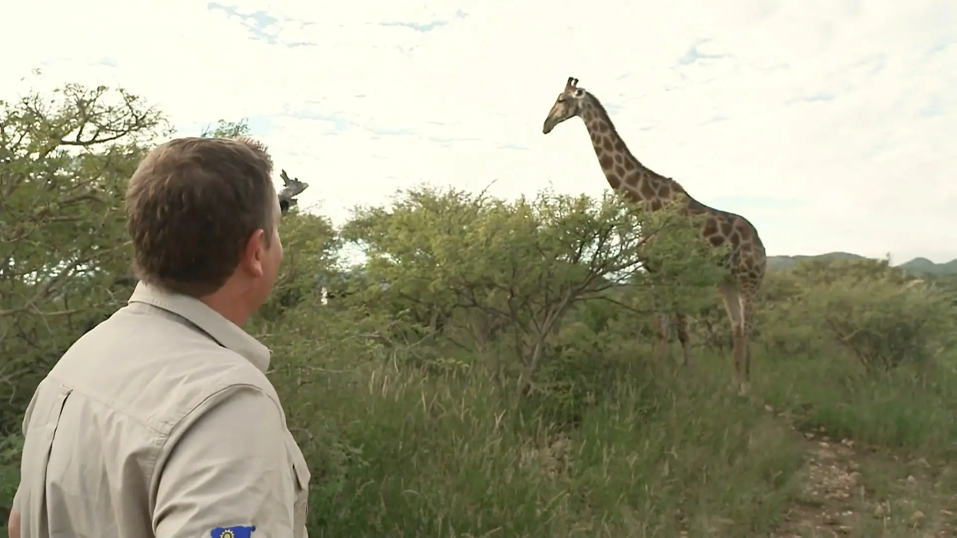 Bild von Partysänger Peter Wackel gründet Giraffenfarm in Namibia