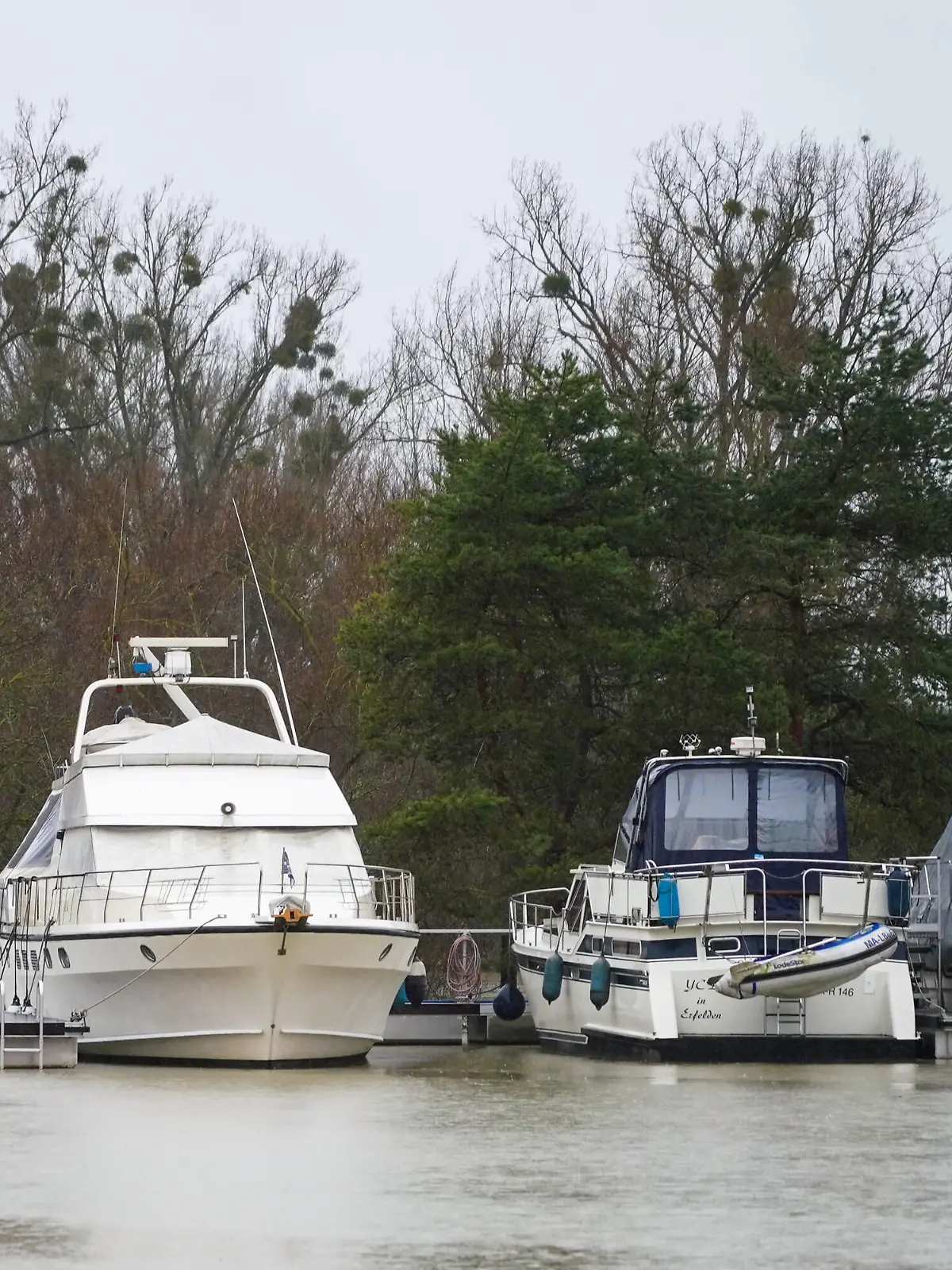 Boote im Yachthafen am Altrhein an der überspülten Kandel