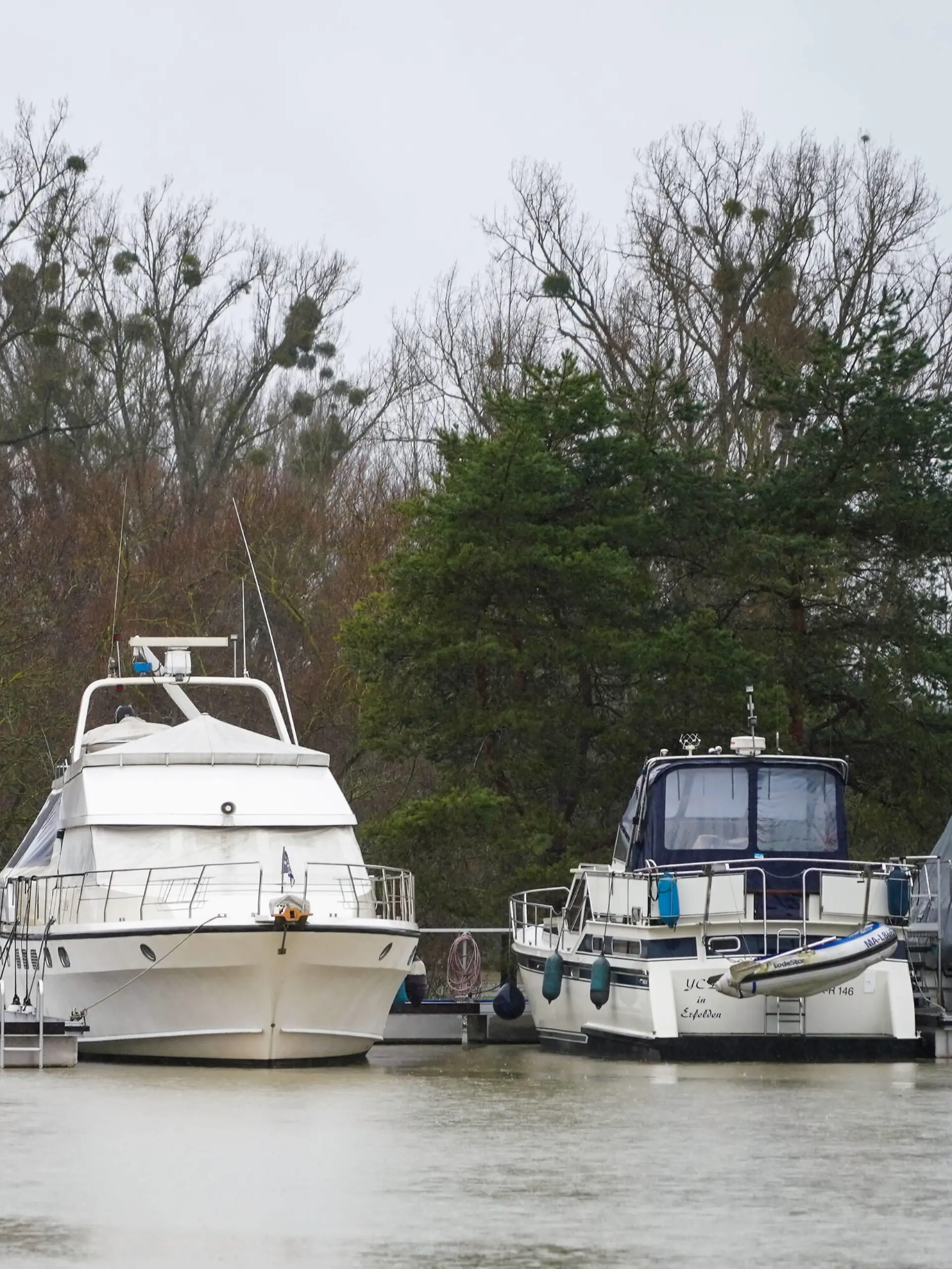 Boote im Yachthafen am Altrhein an der überspülten Kandel