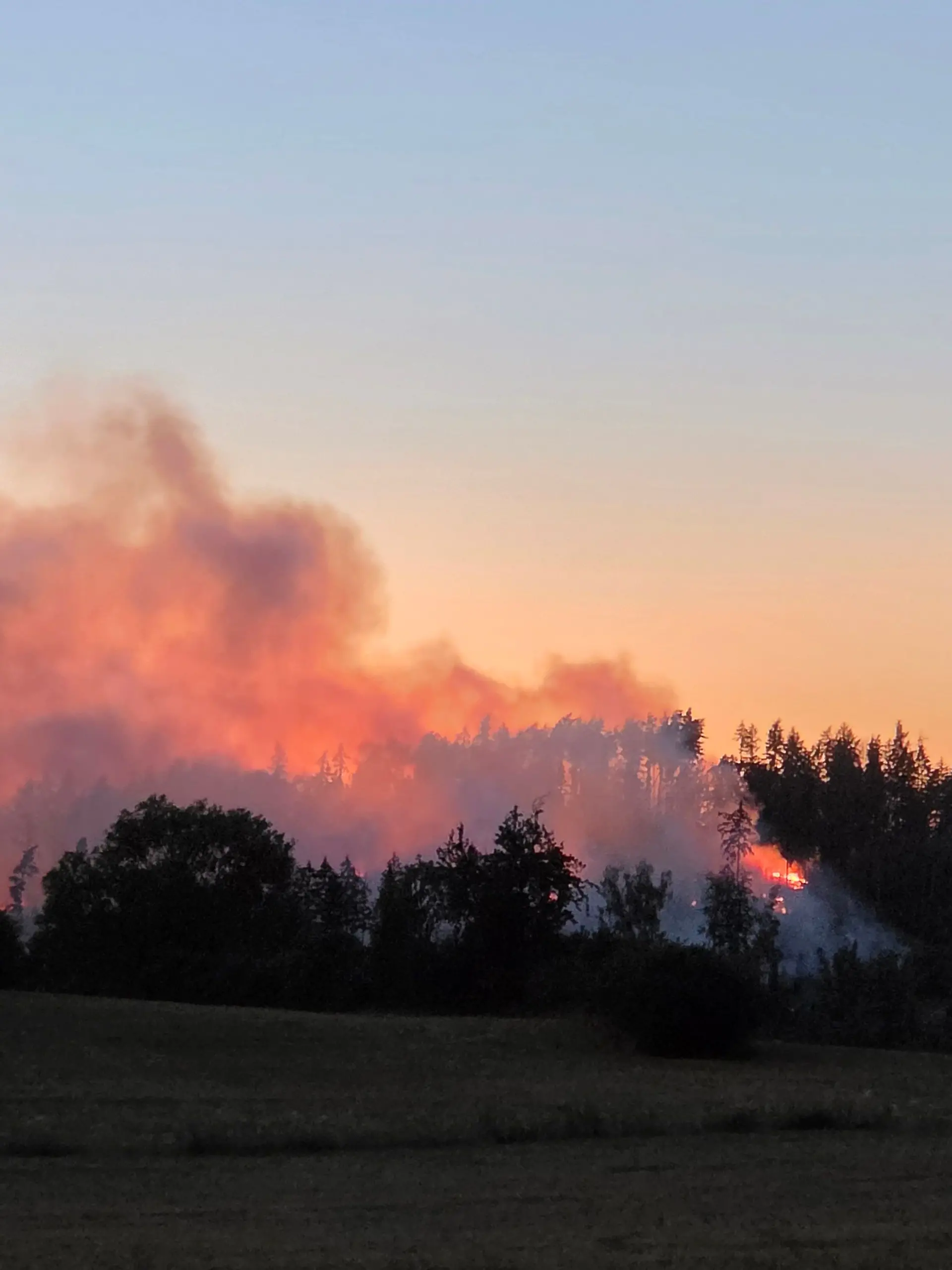Bild zu: "„Größter Brand der letzten 30 Jahre“ – Feuerwehrleute kämpfen zu Fuß gegen Flammen"