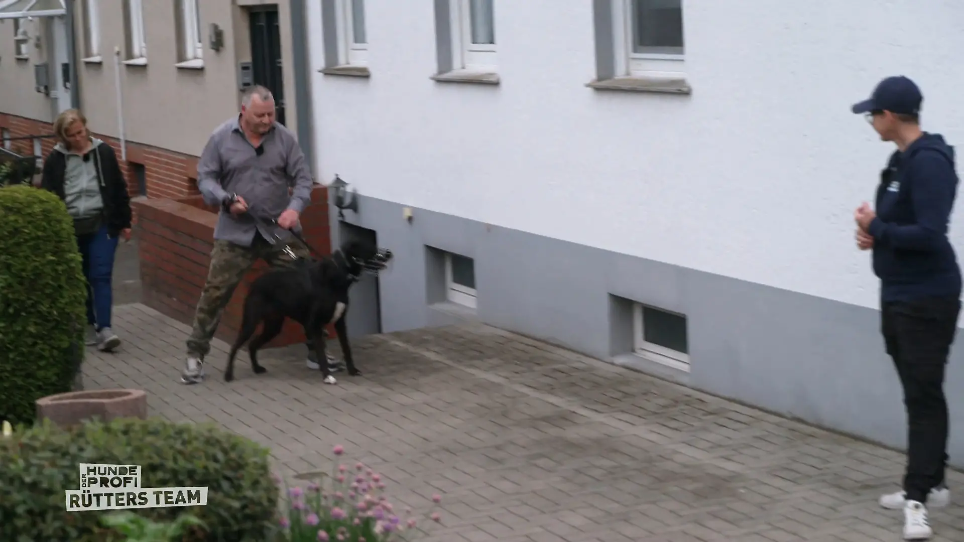 Melle testet, wie weit Socke wirklich ist Kann der Maulkorb runter?