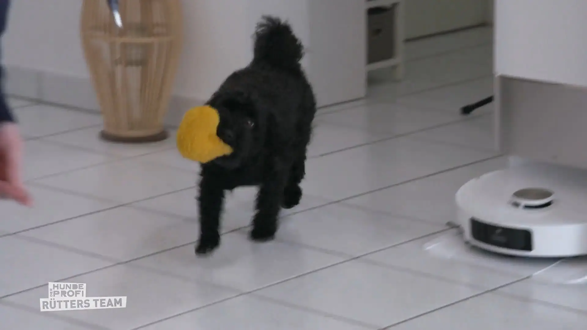 Ramona prüft, was drei Monate Konsequenz gebracht haben Hat das Training gewirkt?