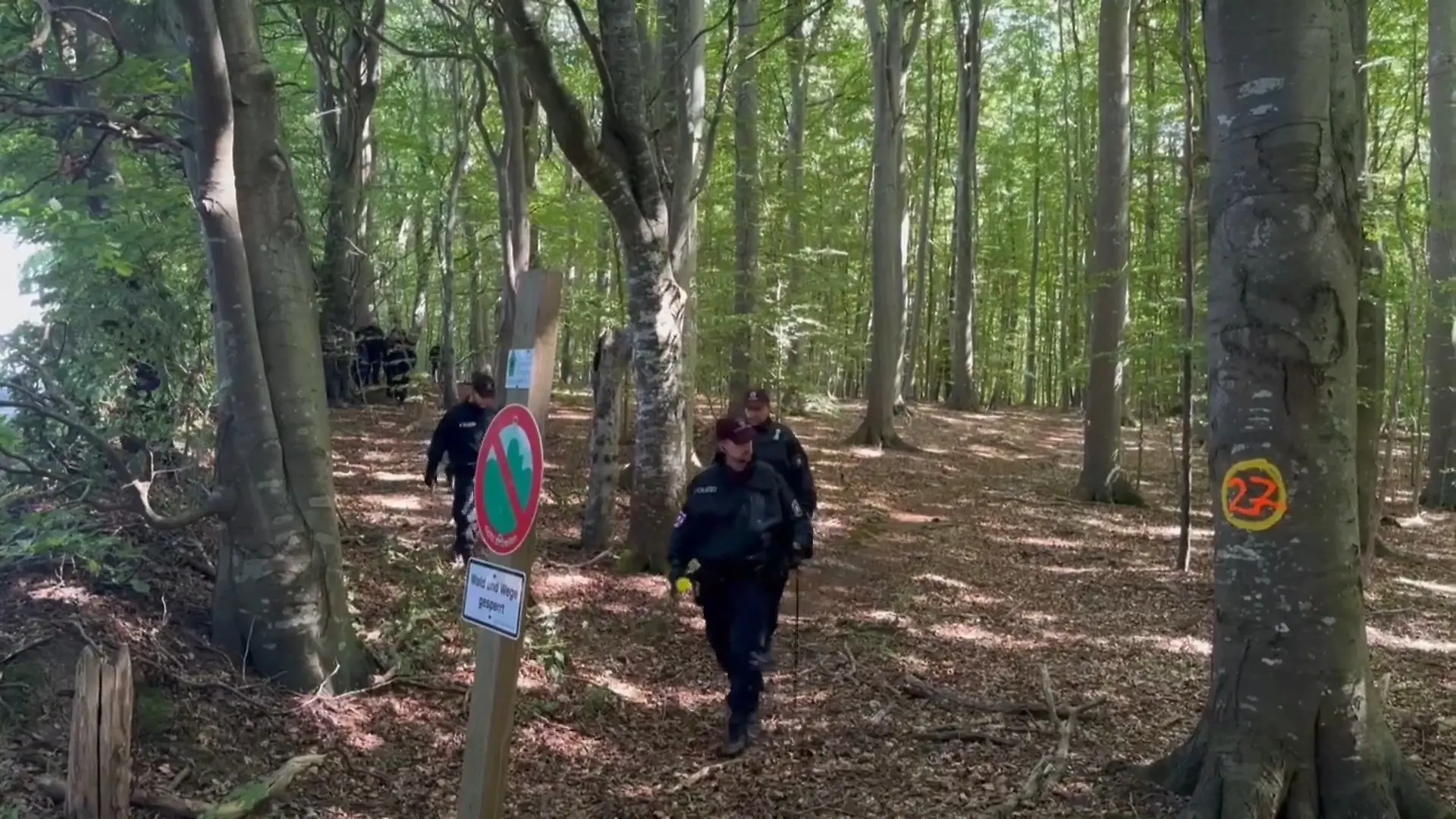 Bild von Jäger findet menschlichen Torso im Wald – Kopf und Gliedmaßen fehlen