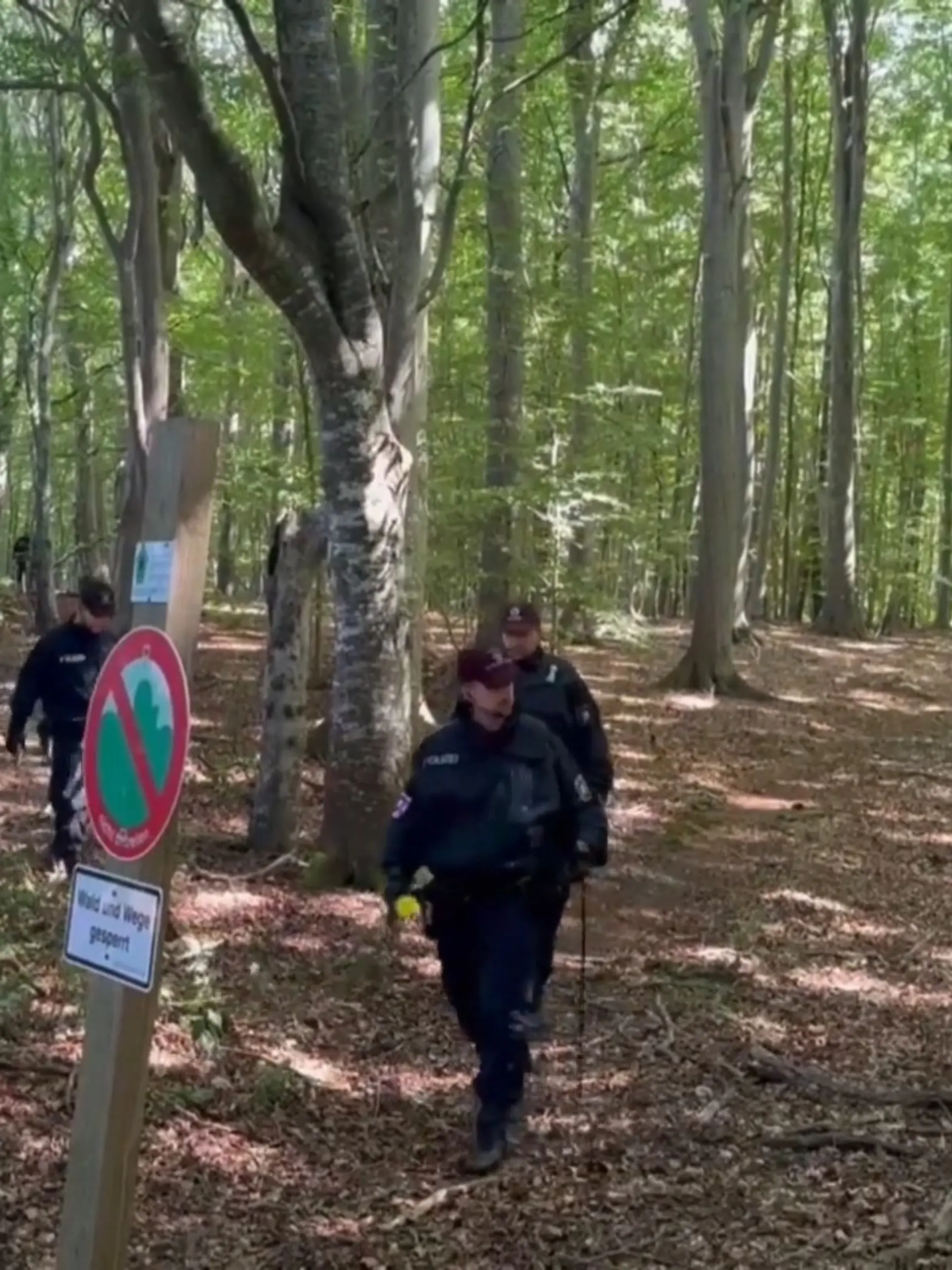 Bild zu: "Jäger findet menschlichen Torso im Wald – Kopf und Gliedmaßen fehlen"