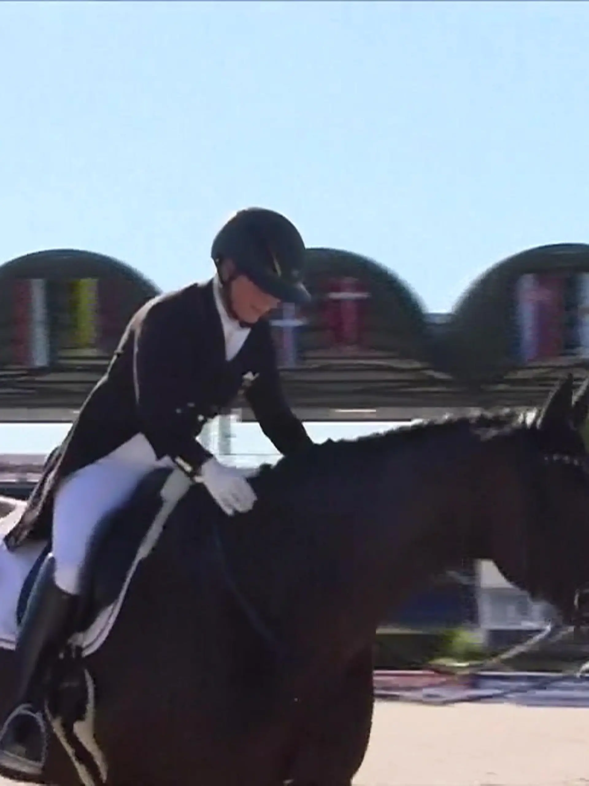 Bild zu: "Isabell Werth holt mit deutschem Dressurteam den WM-Titel"