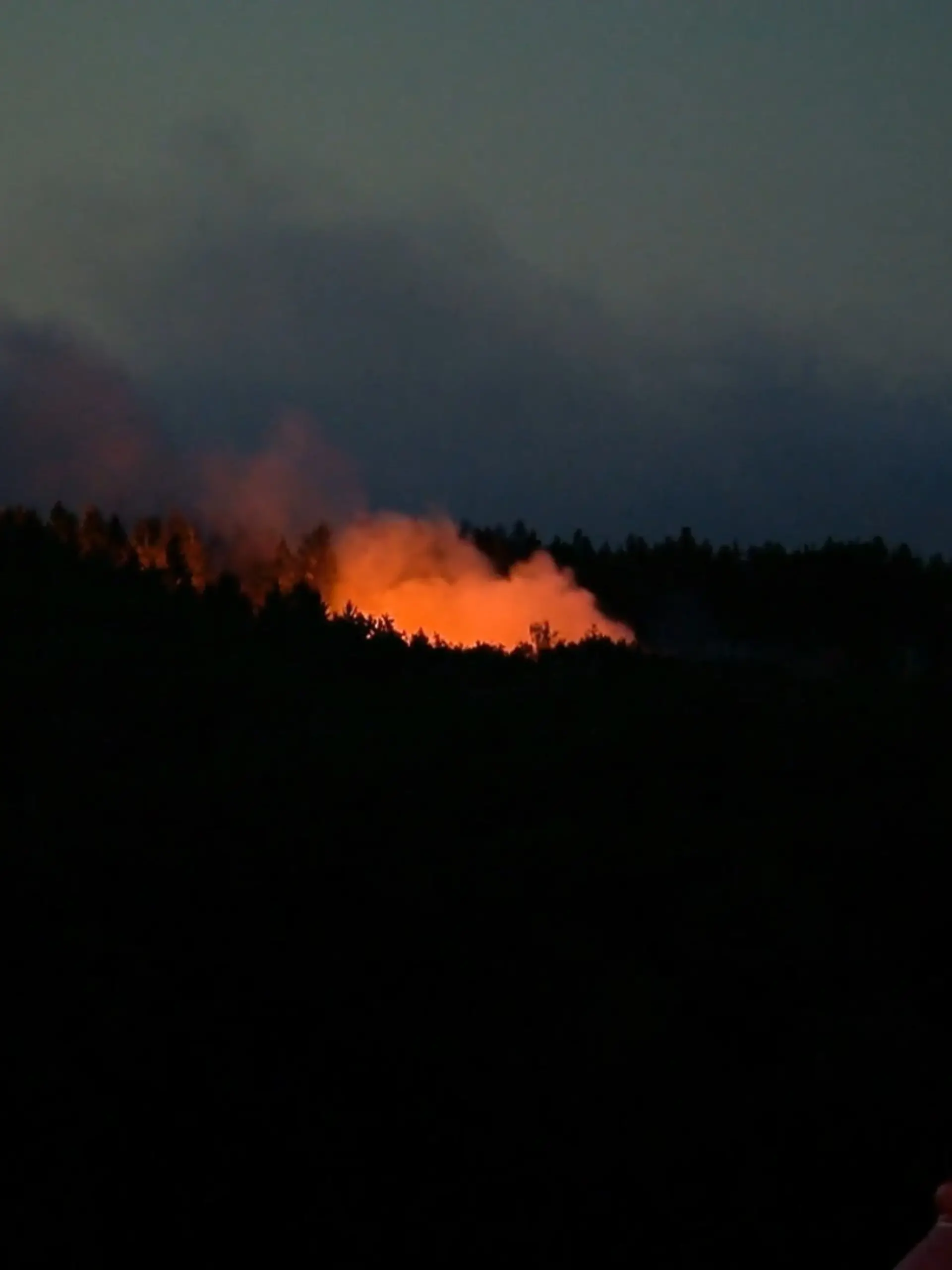 Bild zu: "Großer Waldbrand in der Eifel"