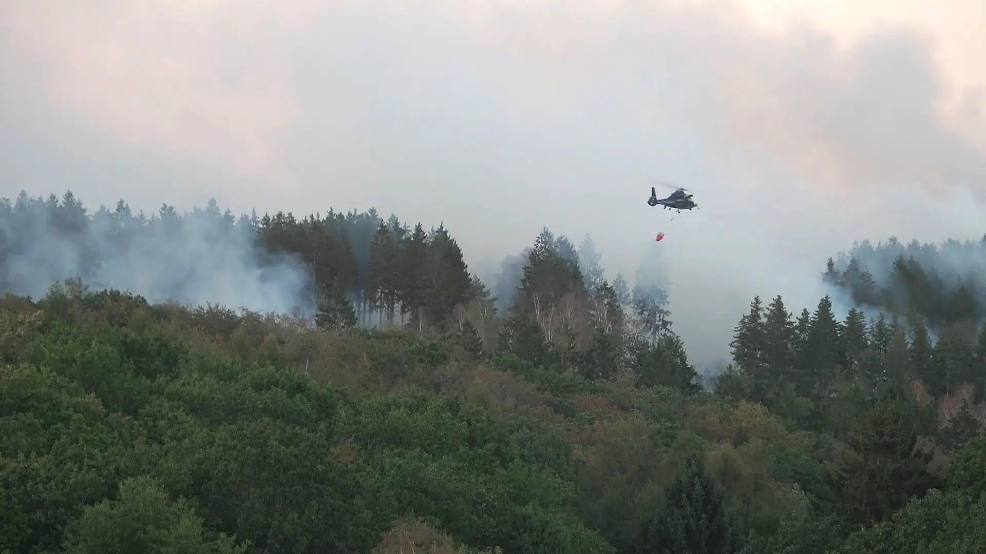 Hürtgenwald brennt – Bundeswehr und Bundespolizei kämpfen gegen die Flammen Großeinsatz im Kreis Düren