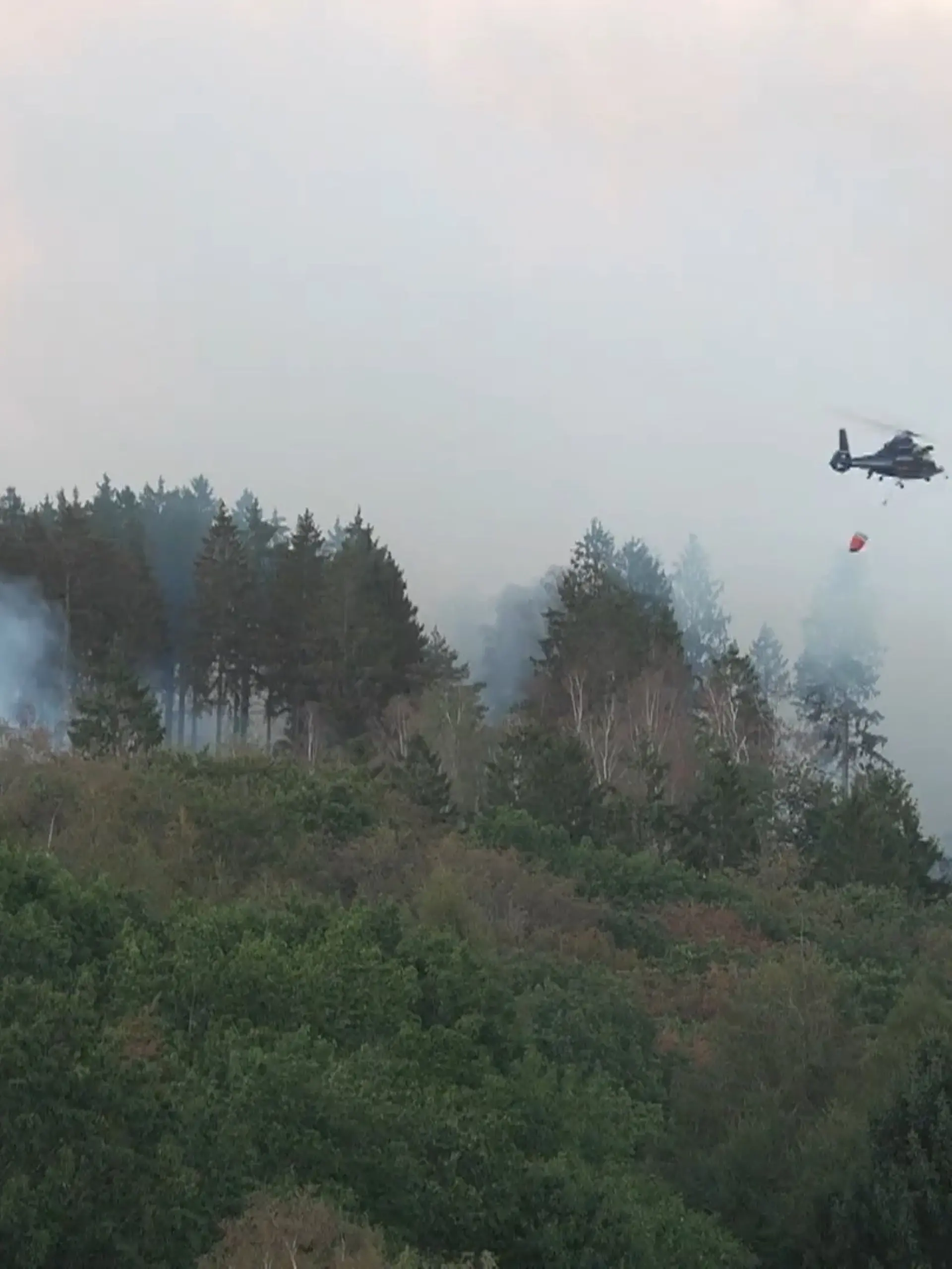 Bild zu: "Hürtgenwald brennt – Bundeswehr und Bundespolizei kämpfen gegen die Flammen"