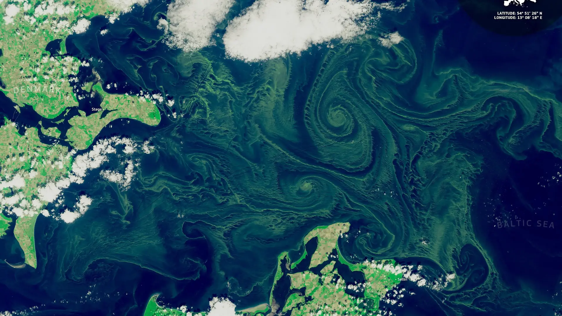 Das Satellitenbild zeigt die Blaualgenblüte in der Ostsee. Sommerliches Wetter bietet ideale Verhältnisse für Blaualgen. Im Gegensatz zu ihrem Namen handele es sich nicht um klassische Algen, sondern um sogenannte Cyanobakterien, teilte Stadt Rostock mit. (zu dpa "Blaualgen an Ostsee und Seen – Warnung für Badende") +++ dpa-Bildfunk +++