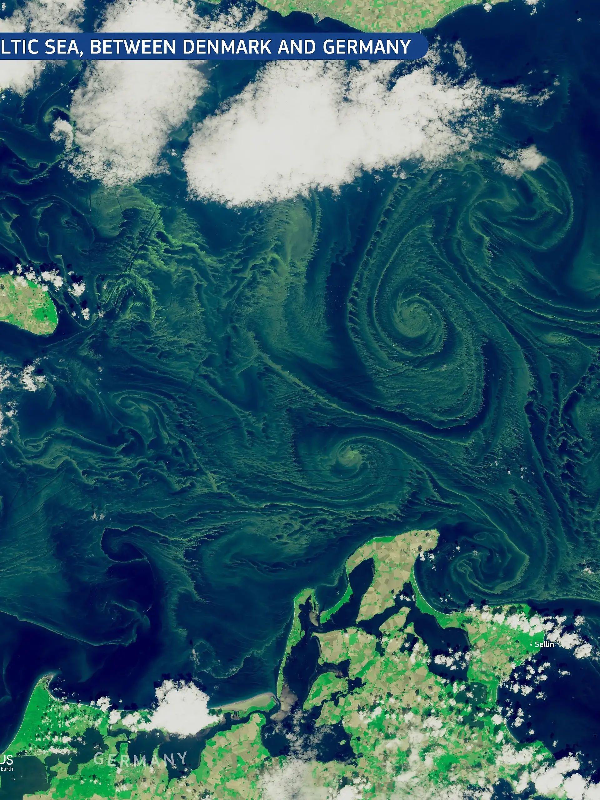 Das Satellitenbild zeigt die Blaualgenblüte in der Ostsee. Sommerliches Wetter bietet ideale Verhältnisse für Blaualgen. Im Gegensatz zu ihrem Namen handele es sich nicht um klassische Algen, sondern um sogenannte Cyanobakterien, teilte Stadt Rostock mit. (zu dpa "Blaualgen an Ostsee und Seen – Warnung für Badende") +++ dpa-Bildfunk +++
