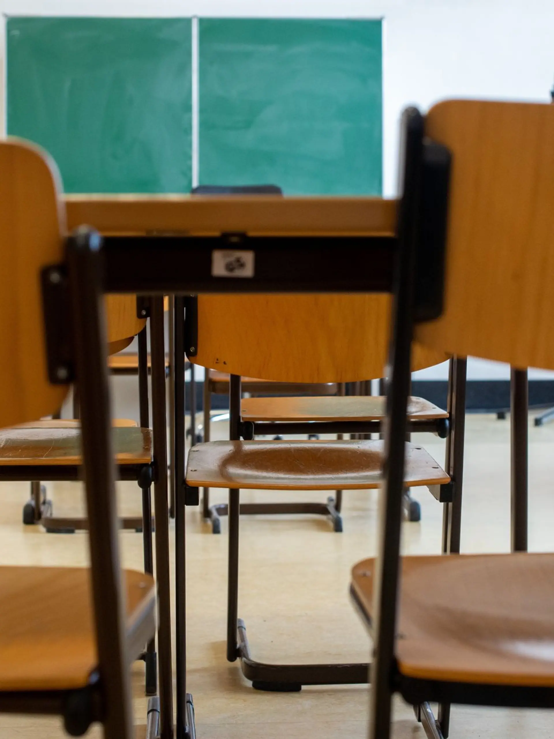 Bild zu: "FDP will Sommerschule und mehr Freiheiten"