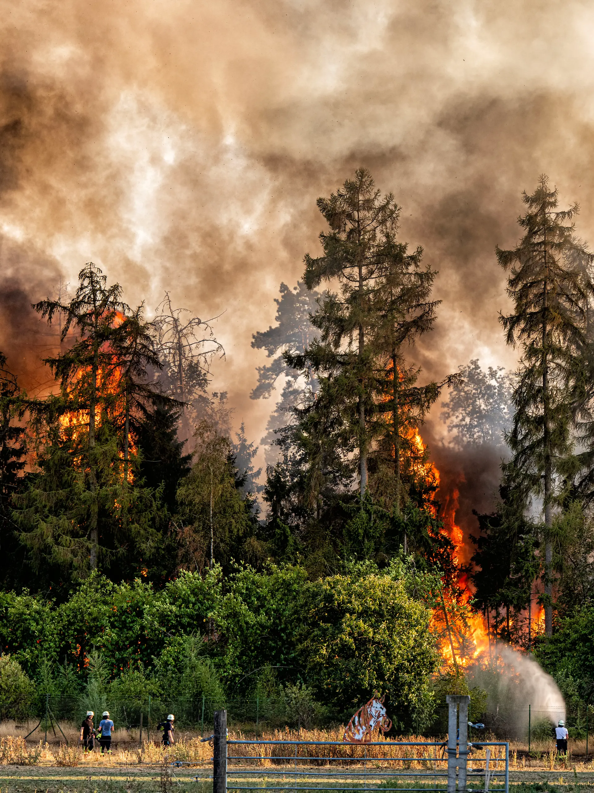 Waldbrand bei Sonsbeck Labbeck ** NUR FÜR REDAKTIONELLE ZWECKE ** EDITORIAL USE ONLY **Eine Waldflä