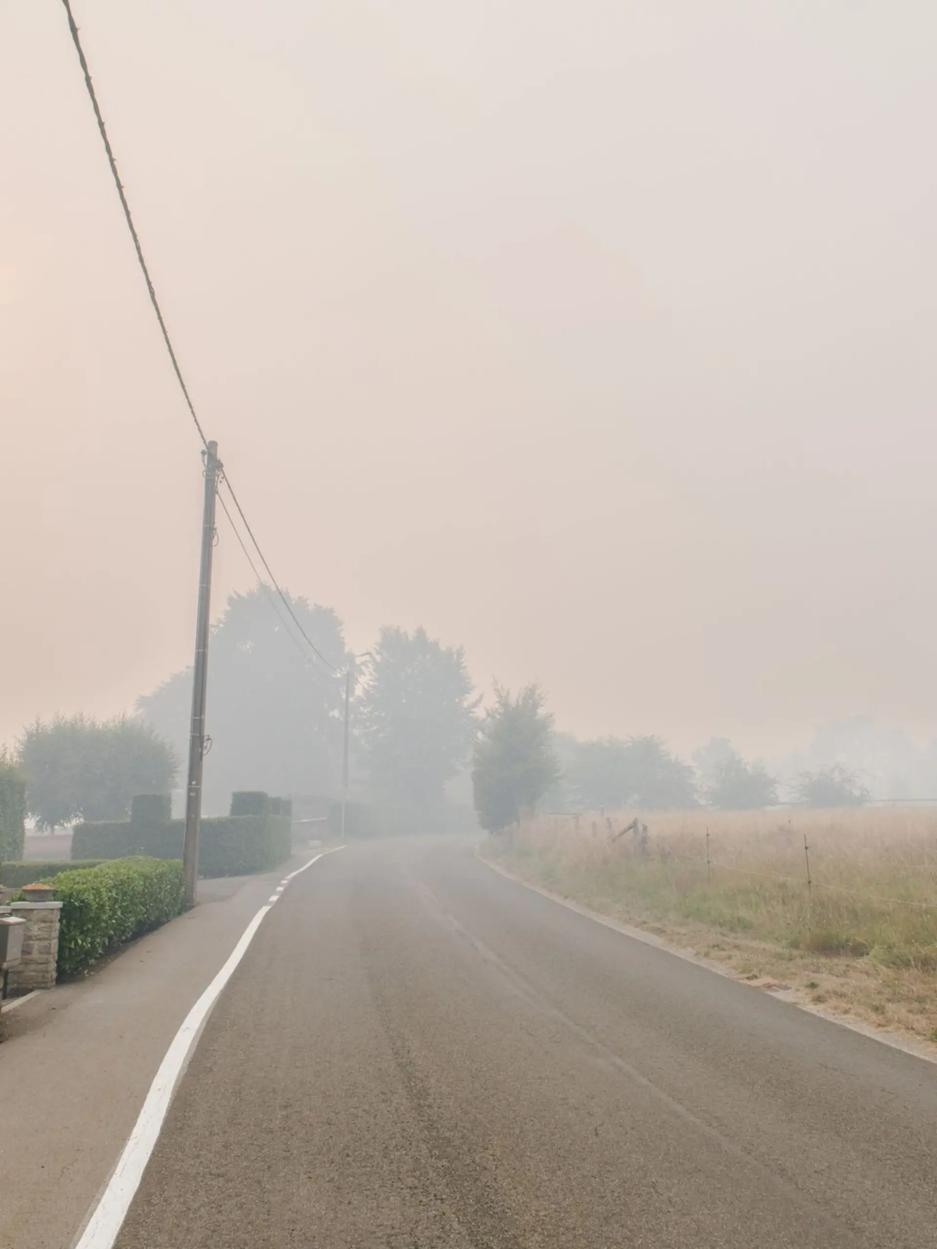 Bild zu: "Stadt Monschau von Flammen bedroht! Bewohner dieser Ortsteile sollen ihre Häuser verlassen"