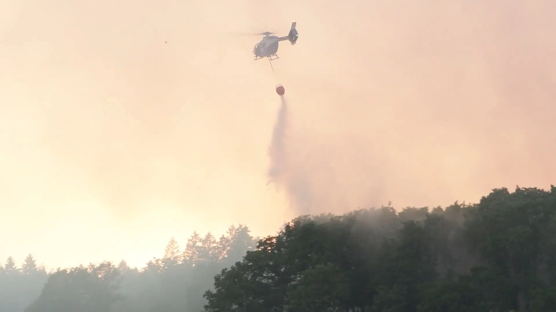 Waldbrand in der Eifel Hürtgenwald und Hohes Venn in Flammen