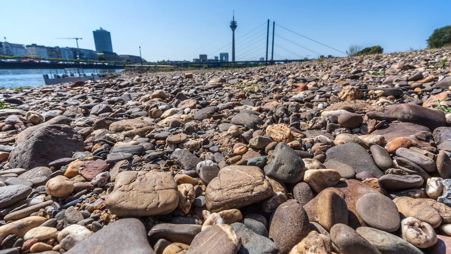 Der Rhein ist beinahe ausgetrocknet.