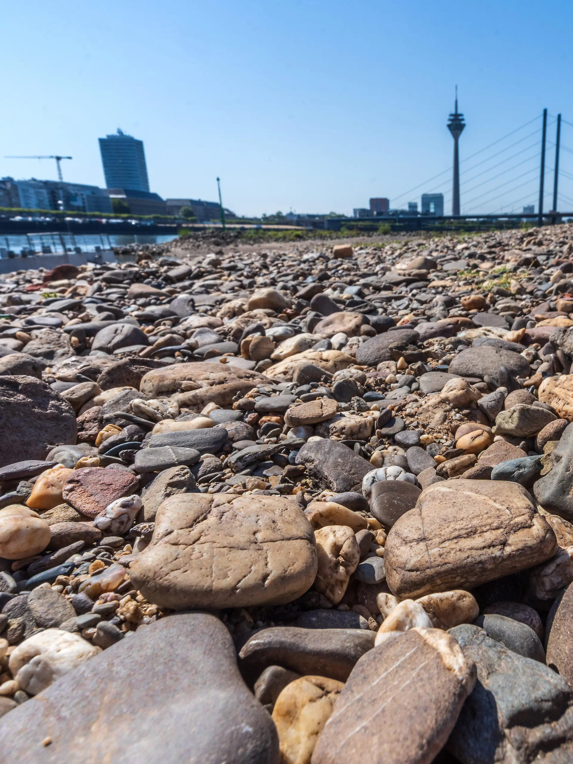 Der Rhein ist beinahe ausgetrocknet.