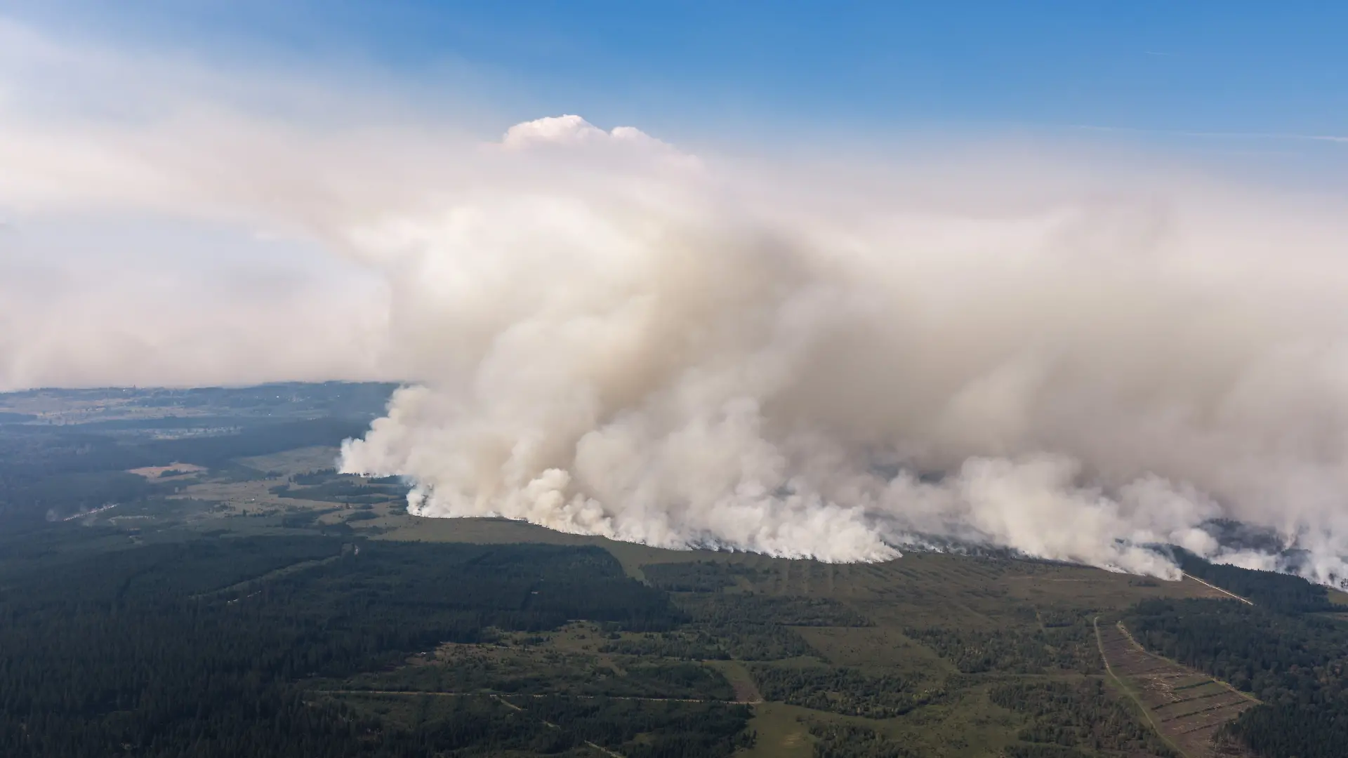 Waldbrand in Belgien