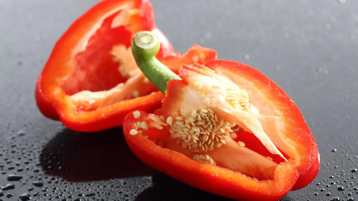 Zwei halbe rote Paprikaschoten auf schwarzem Acryl mit Wassertropfen.Nahaufnahme.Die Gattung Paprika (Capsicum), umgangssprachlich auch als Chili, Peperoni oder Pfefferoni bezeichnet (siehe Etymologie), gehÜrt zur Familie der NachtschattengewŠchse (Solanaceae). Es gibt viele verwandte Kulturpflanzenarten, wie z. B. Kartoffeln (Solanum tuberosum), Tomaten (Solanum lycopersicum), Auberginen (Solanum melongena) und auch alle Tabakarten (Nicotiana). Es wird sowohl die Pflanze als auch die Frucht als Paprika bezeichnet, vor allem fŸr die Frucht gibt es noch weitere Namen, die Unterschiede in SchŠrfe, GrÜße und auch Farbe kennzeichnen. Die am weitesten verbreitete Art, zu der auch fast alle in Europa erhŠltlichen Paprika, Peperoni und Chilis gehÜren, ist Capsicum annuum. Die meisten Paprika enthalten den fŸr die SchŠrfe verantwortlichen Stoff Capsaicin, erst in den 1950er Jahren wurden mit den GemŸsepaprika milde Sorten gezŸchtet, die fast keine Scharfstoffe mehr enthalten.Der Paprikageschmack ist zum grÜßten Teil auf ein Štherisches …l zurŸckzufŸhren. Der Anteil an langkettigen Kohlenwasserstoffen, FettsŠuren und deren Methylestern betrŠgt weniger als ein Prozent. FŸr den Paprikageruch bedeutsam sind Alkylmethoxypyrazine, etwa das ãerdigÒ riechende 3-Isobutyl-2-methoxypyrazin. Reife Paprika enthalten auch bis zu 6 ucker.Paprika enthŠlt relativ viel Vitamin C (0,1Ð0,4 Gewichtsprozent). So gelang es erstmals dem ungarischen Chemiker Albert Szent-GyÜrgyi, Vitamin C aus Paprika in genŸgender Menge zu isolieren. Er erhielt dafŸr 1937 den Nobelpreis fŸr Medizin. Paprikaschoten enthalten außerdem viele Flavonoide und Carotine [2]100 g rohe Paprika enthalten 19 kcal, 1,1 g Protein, 3 g Kohlenhydrate und 0,29 g Fett. Weitere wichtige Inhaltsstoffe sind etwa: 290 mg Kalium, 20 mg Magnesium, 15 mg Calcium pro 100 g Paprika.