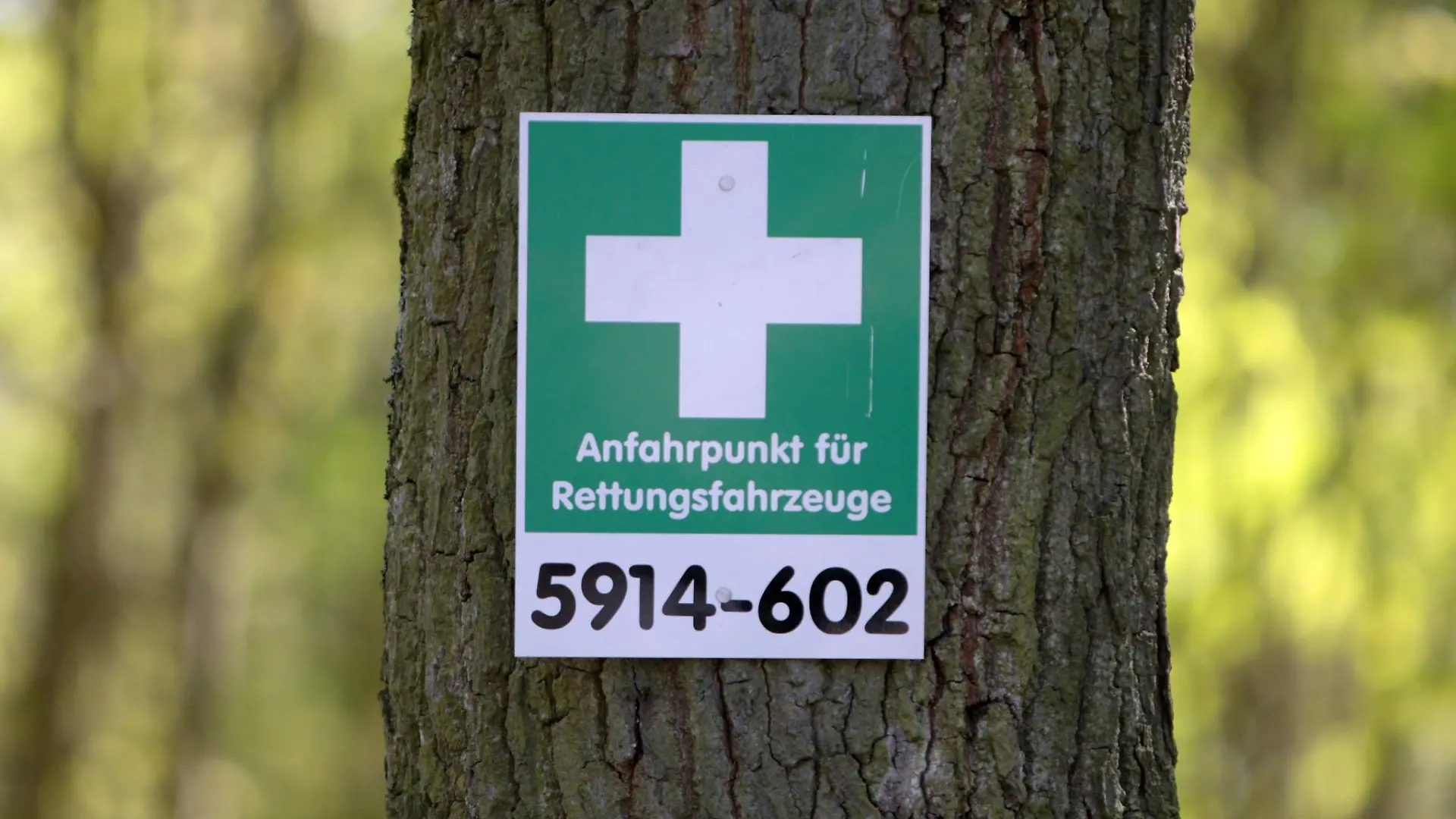 Über die Smartphone-App "Hilfe im Wald" lässt sich der nächste Rettungspunkt finden.