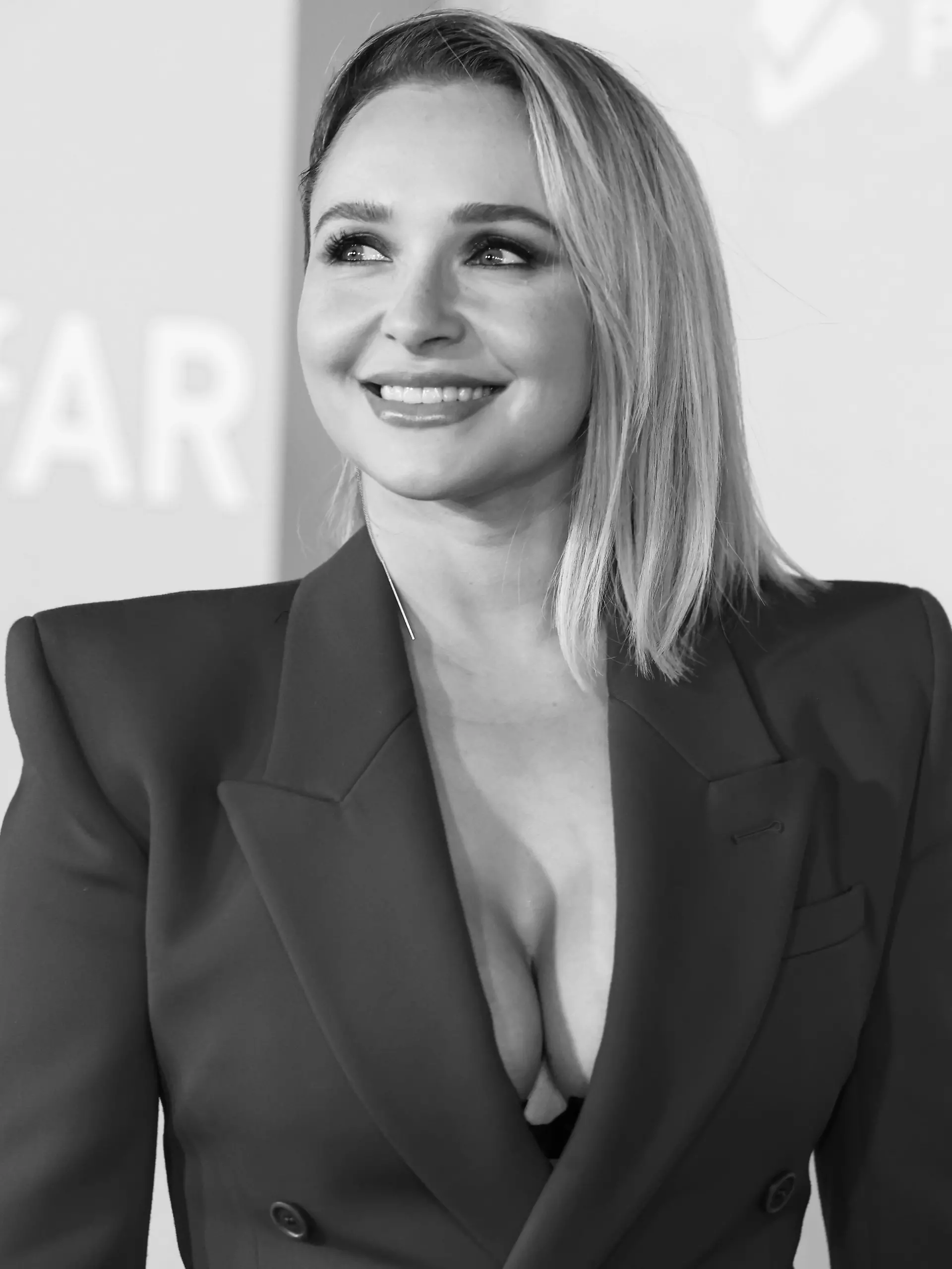 Was haben die Bundesbeamten in Hayden Panettieres Wohnung gesucht?