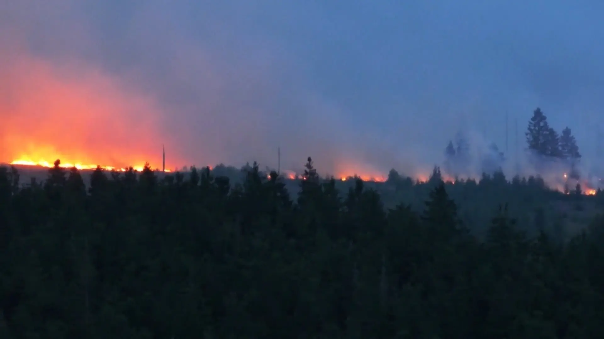 Waldbrände in der Grenzregion Feuer rückt bis auf 300 Meter an die Grenze