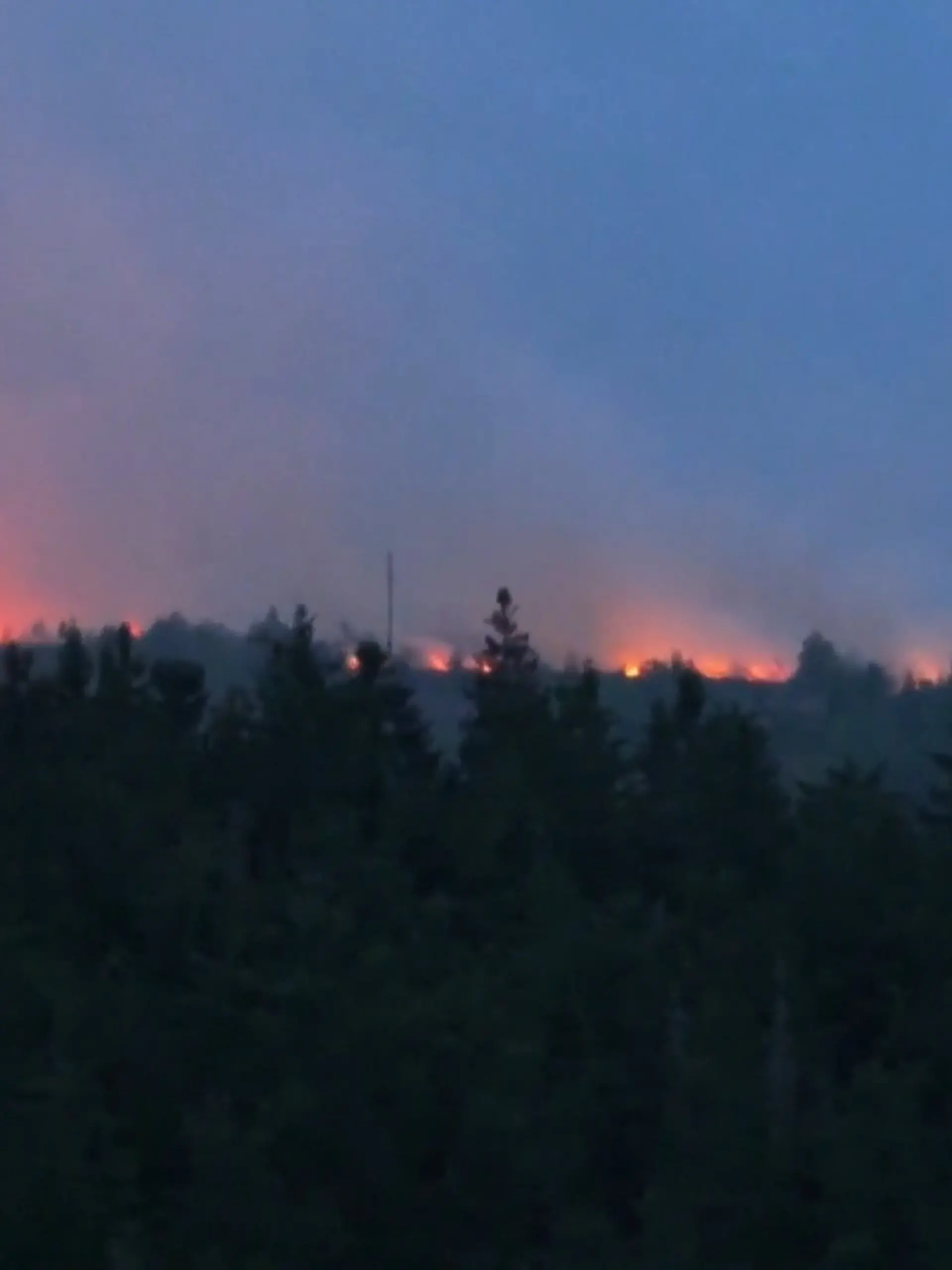 Bild zu: "Waldbrände in der Grenzregion"