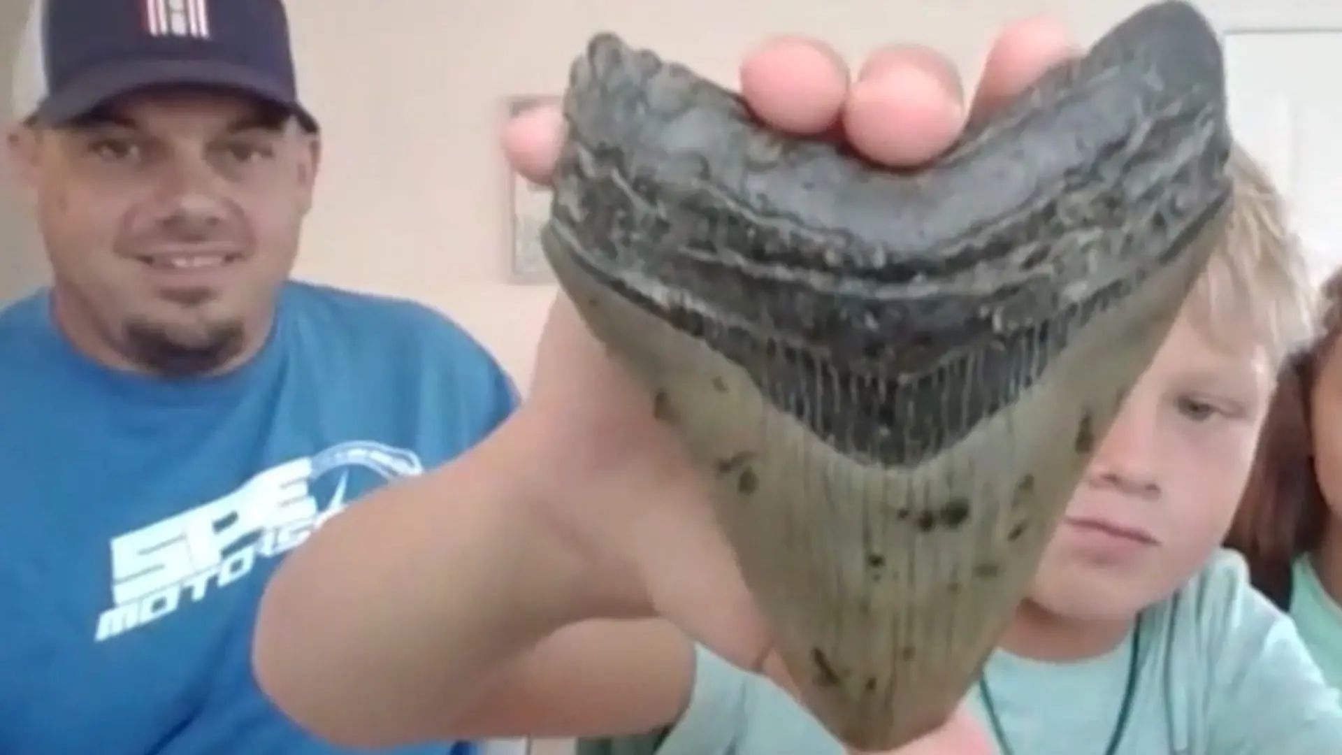 3,6 Millionen Jahre alt! Familie entdeckt Zahn von riesigem Urzeitmonster Seltener Fund am Strand