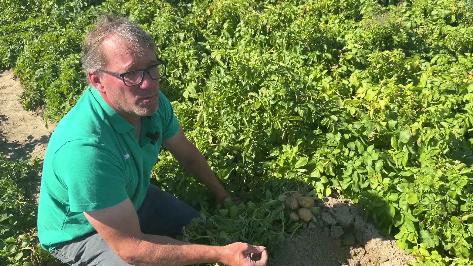 Landwirt Arndt von Hugo steht auf einem seiner Felder – die diesjährige Ernte bereitet ihm große Sorgen.