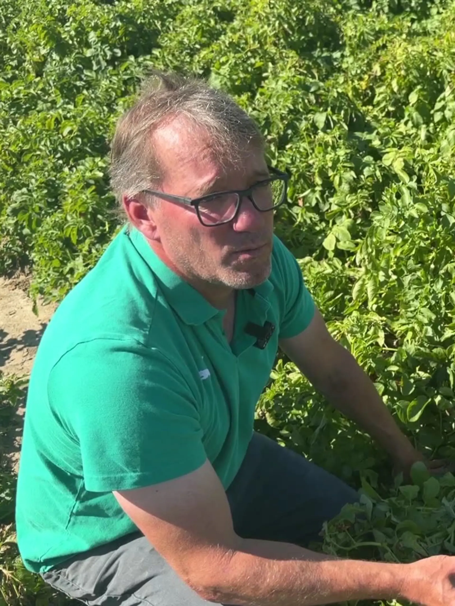 Landwirt Arndt von Hugo steht auf einem seiner Felder – die diesjährige Ernte bereitet ihm große Sorgen.