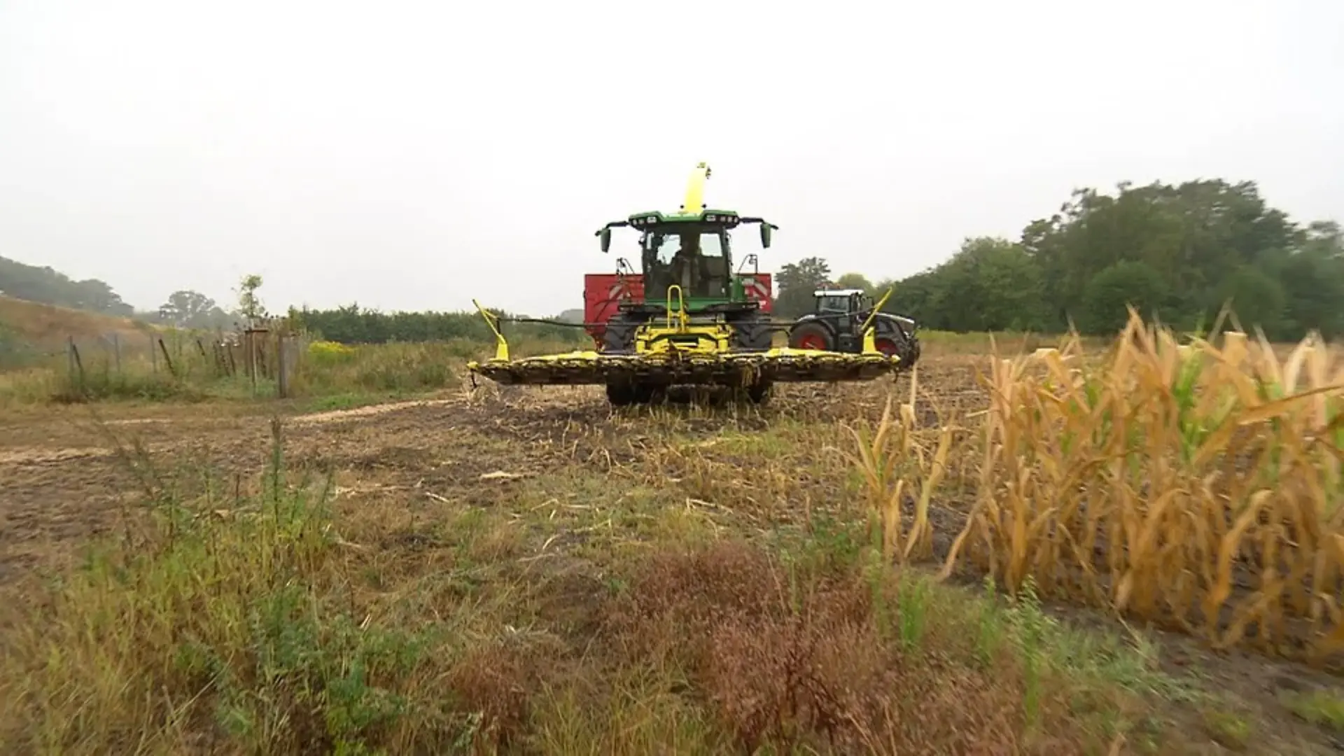Getreideernte fällt geringer aus Ernteausfälle in NRW