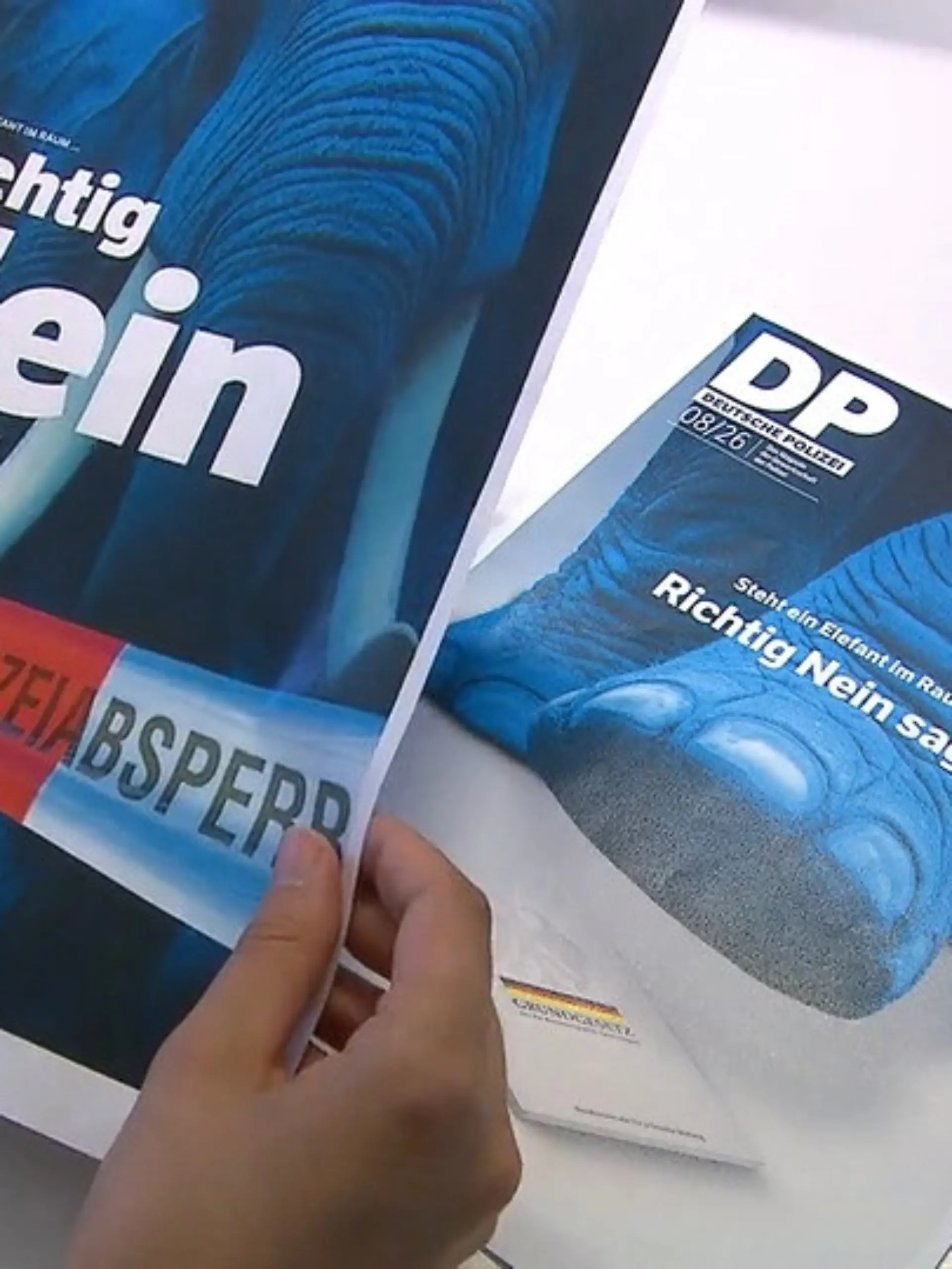 Bild zu: "GdP-Vize Hüber sorgt für Kritik"