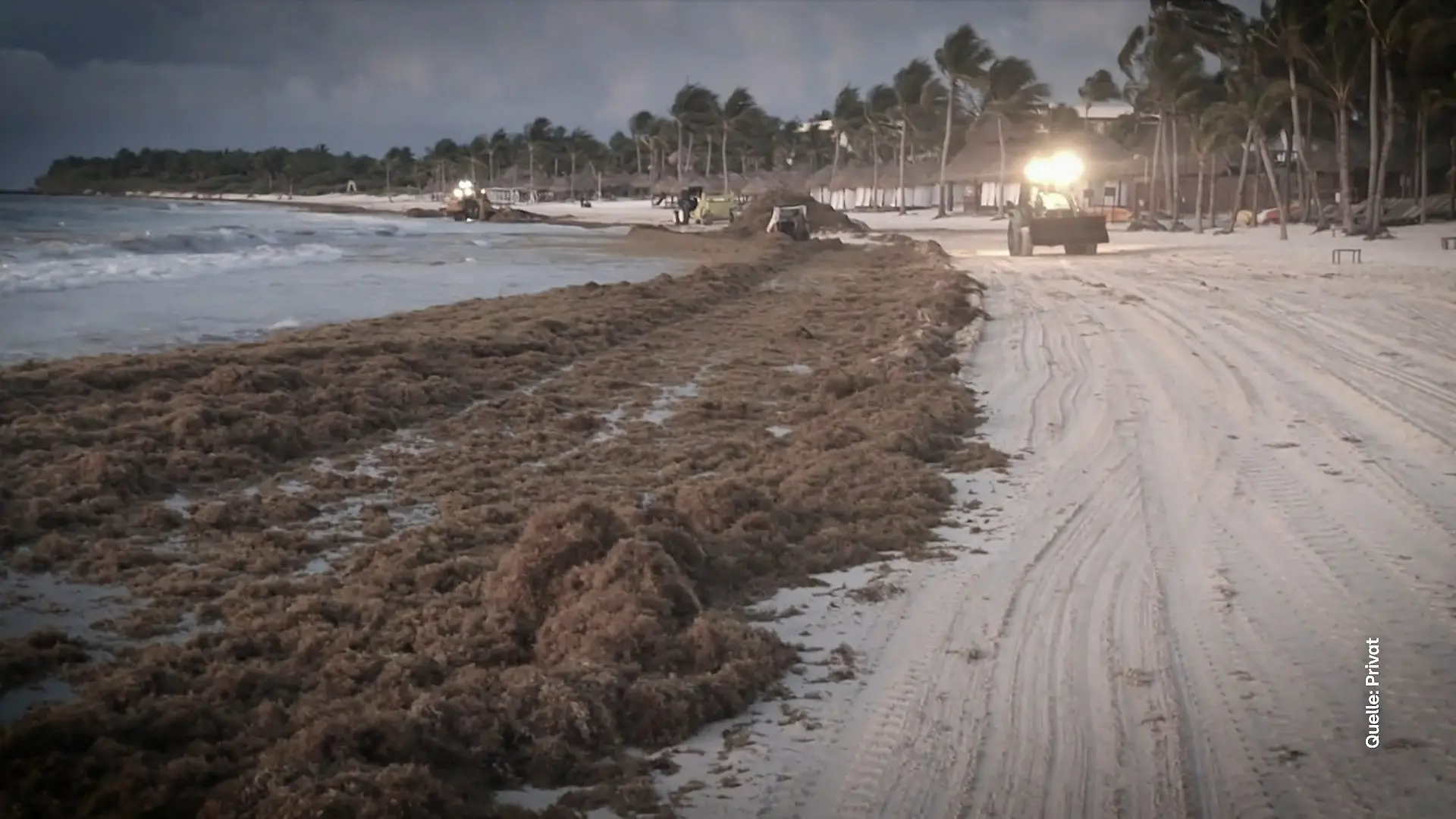 Urlaubsretter Ralf Benkö hilft Ehepaar nach Algen-Strand Statt weißem Sandstrand Berge von Algen