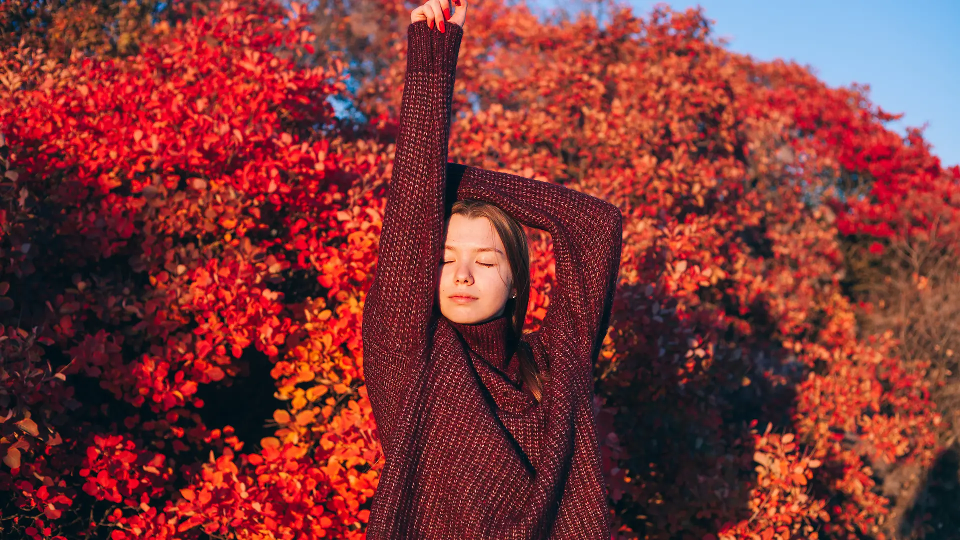 Junge Frau in einem herbstlichen Wald an einem sonnigen Tag. Bäume mit leuchtend roten und orangefarbenen Blättern. Herbstliches Frauenporträt. Strickpullover und blaue Jeans. – Stockfotografie