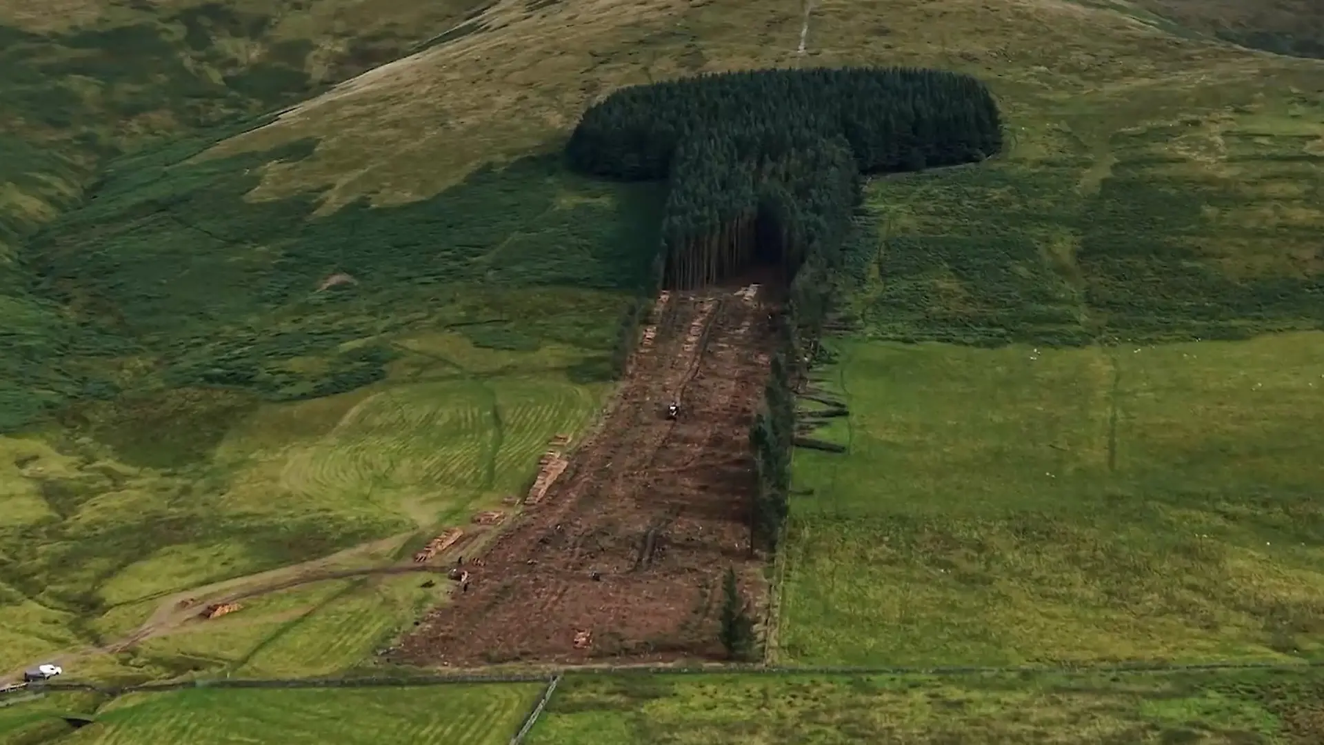Entmannung am Hang! Dieser Penis steht nicht mehr wie ne Eins Phallus-Wald geht's an den Stamm