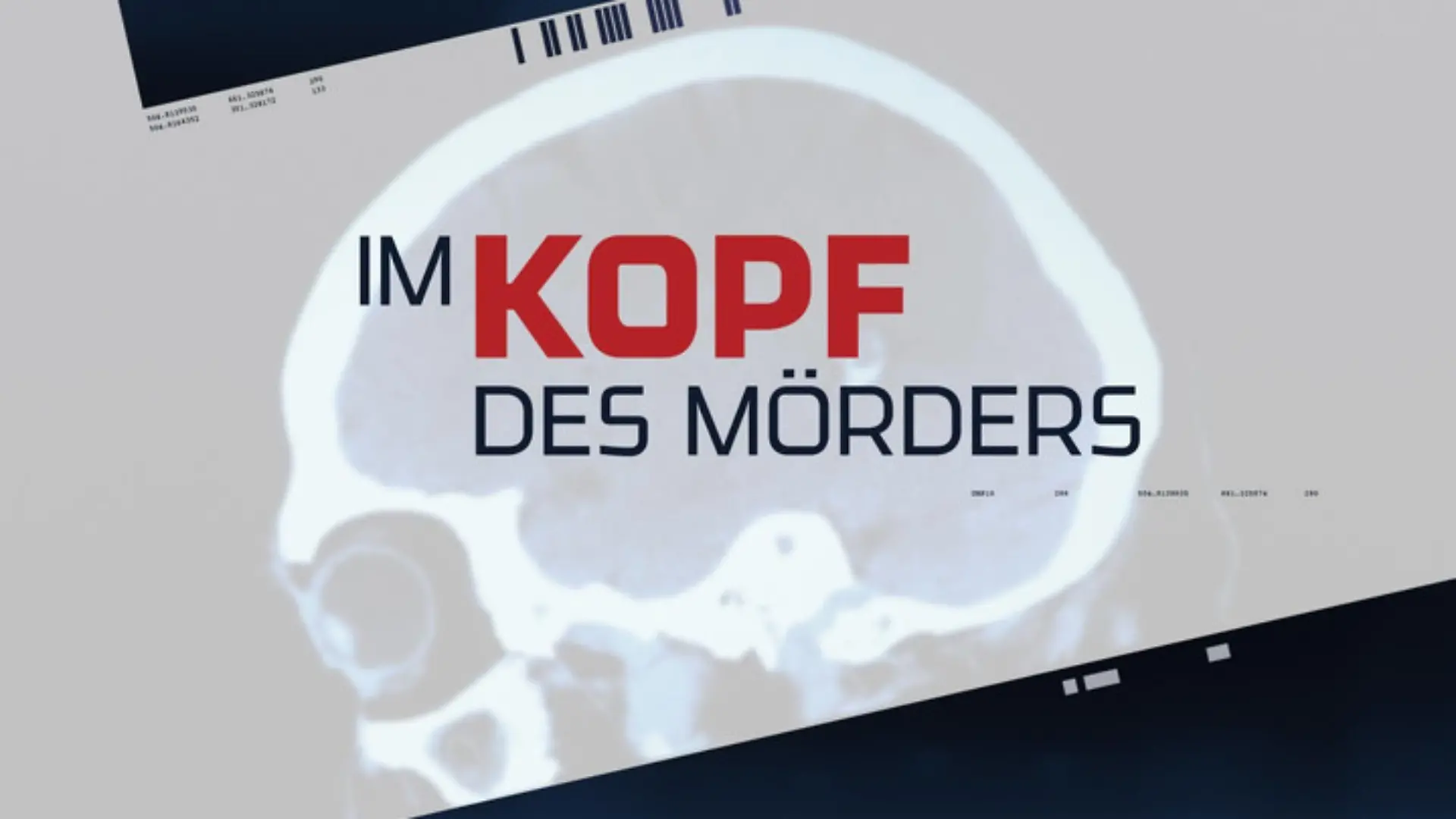 anwaelte-der-toten-im-kopf-des-moerders.jpg