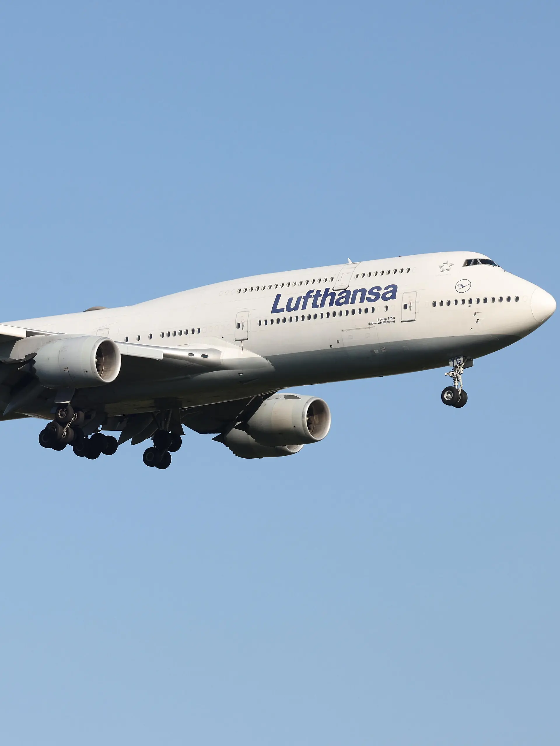 Die Boeing 747-830, Kennung D-ABYG im Landeanflug auf den Flughafen Frankfurt